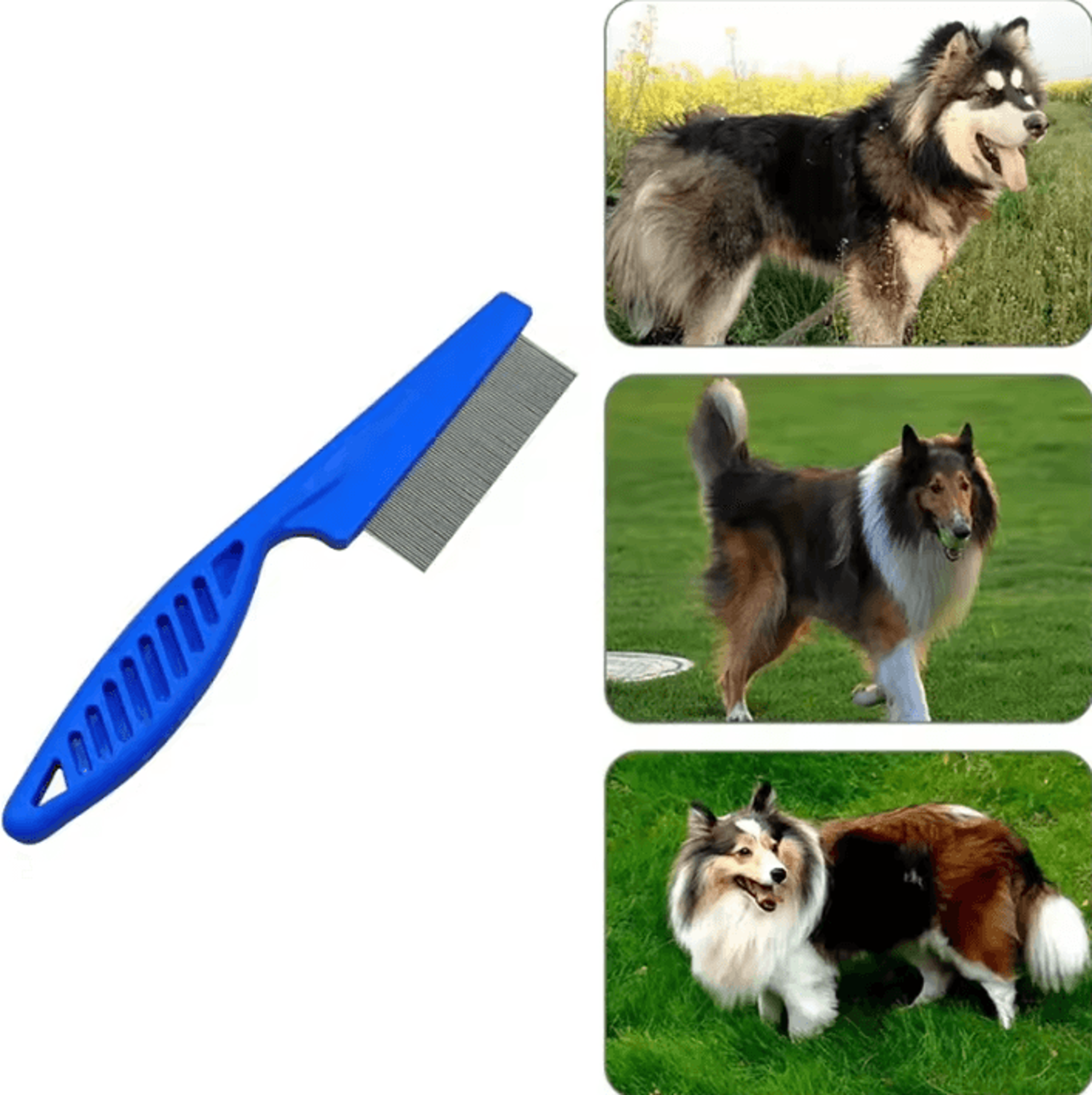 GentleCare Stainless Steel Flea  Shedding Comb 3