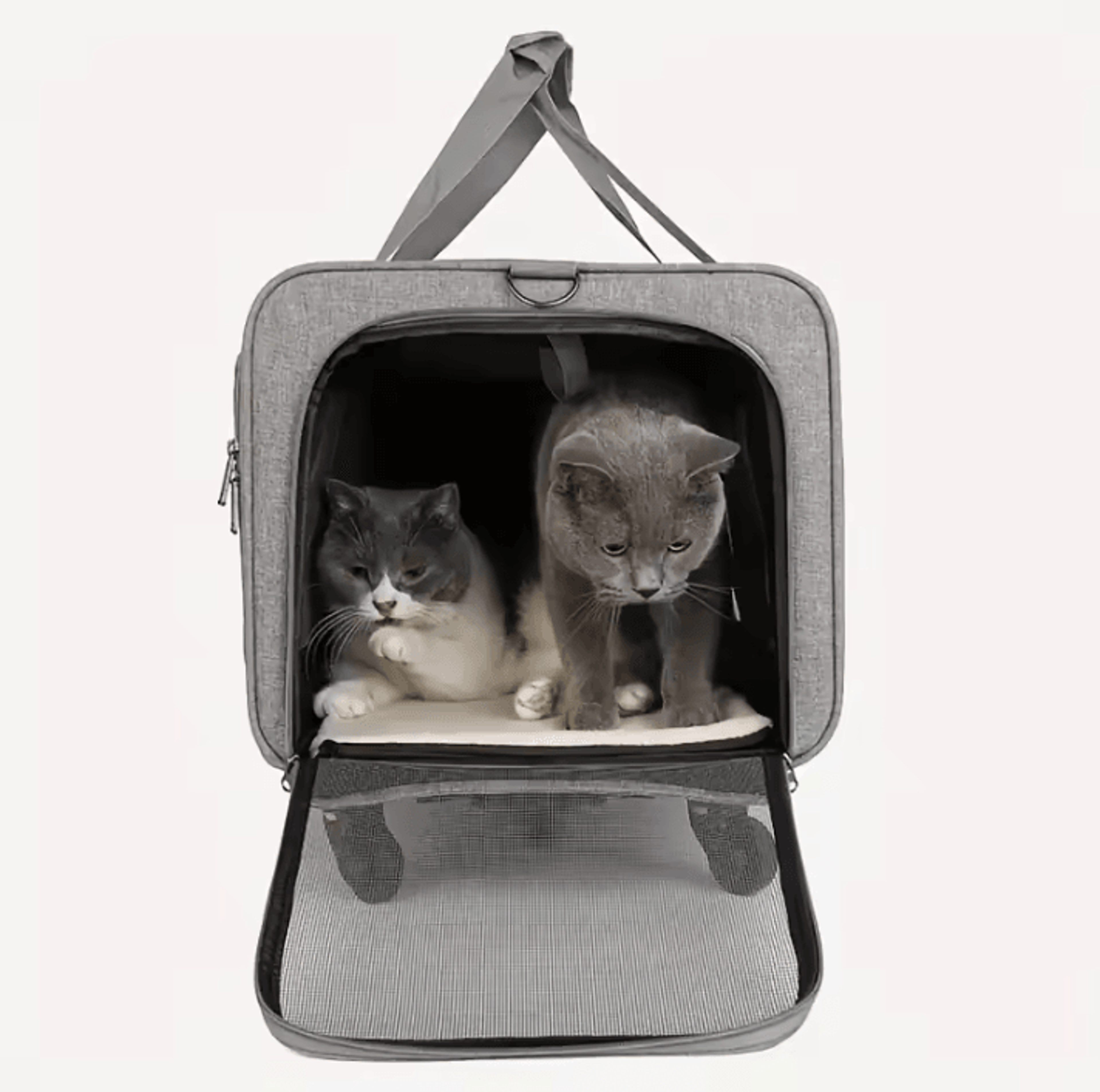 RoverRoll ExtraLarge Pet Travel Trolley Carrier 1