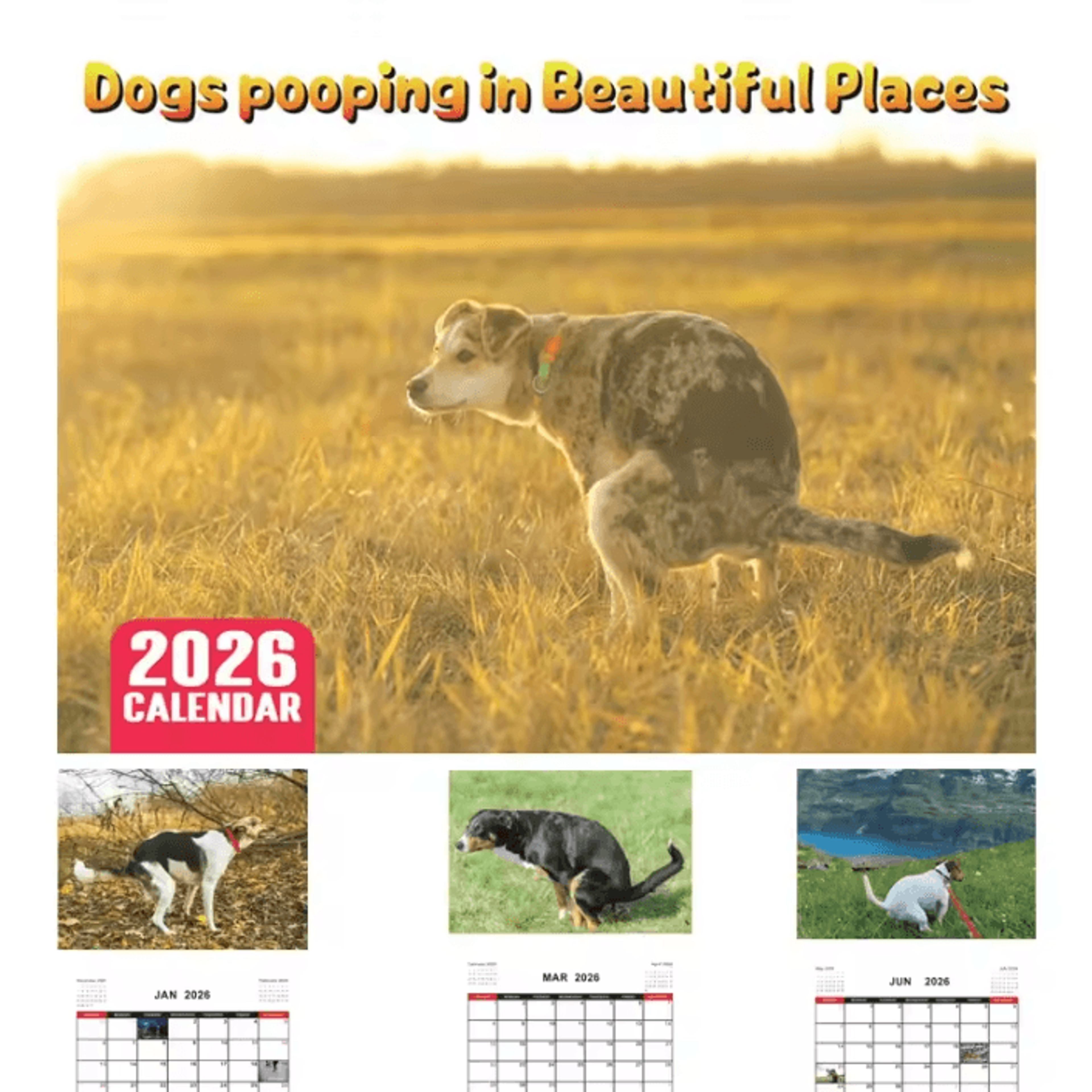 2026 Funny Pooping Dog Wall Calendar Monthly Planner  Organizer 1