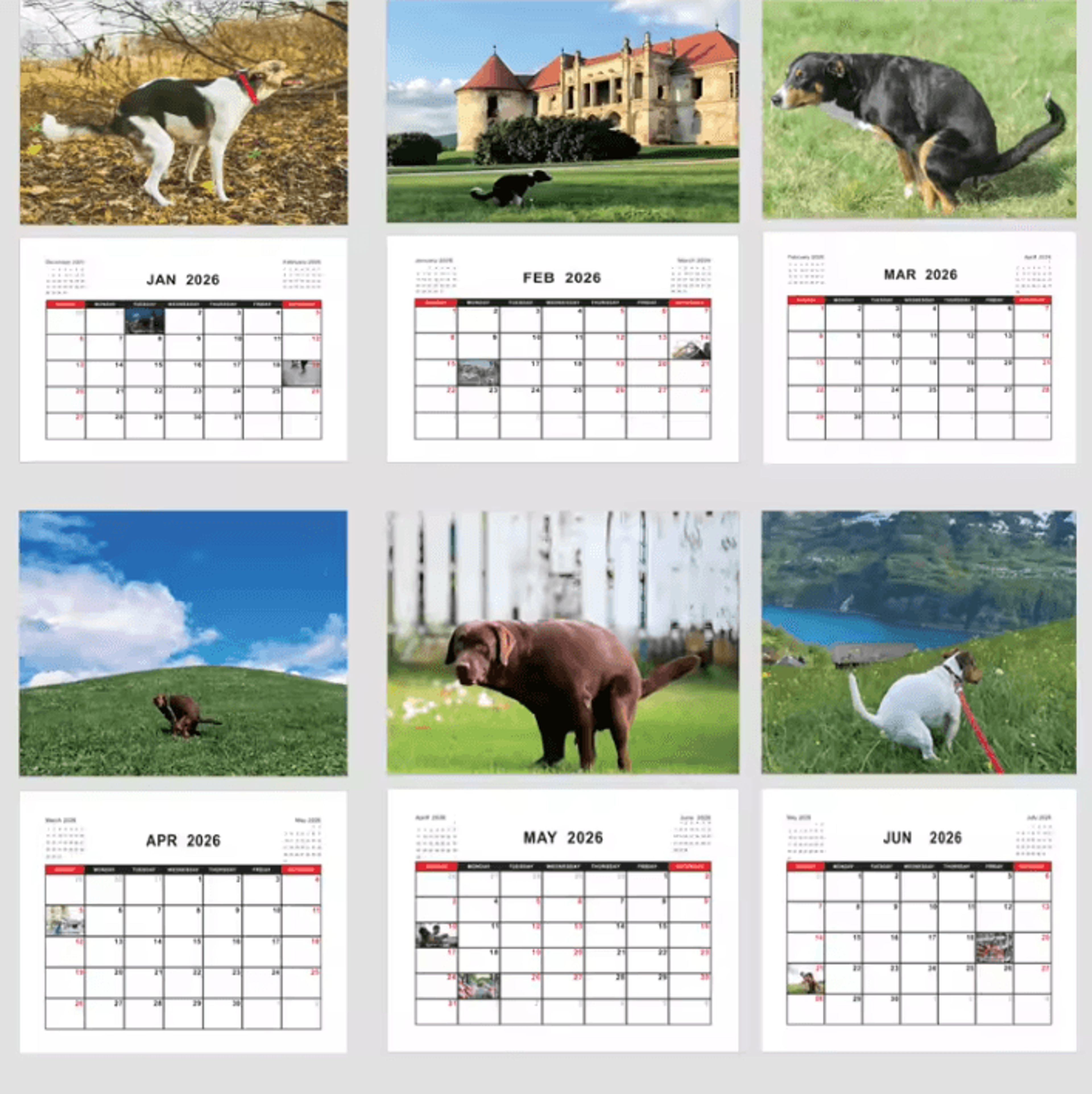 2026 Funny Pooping Dog Wall Calendar Monthly Planner  Organizer 2