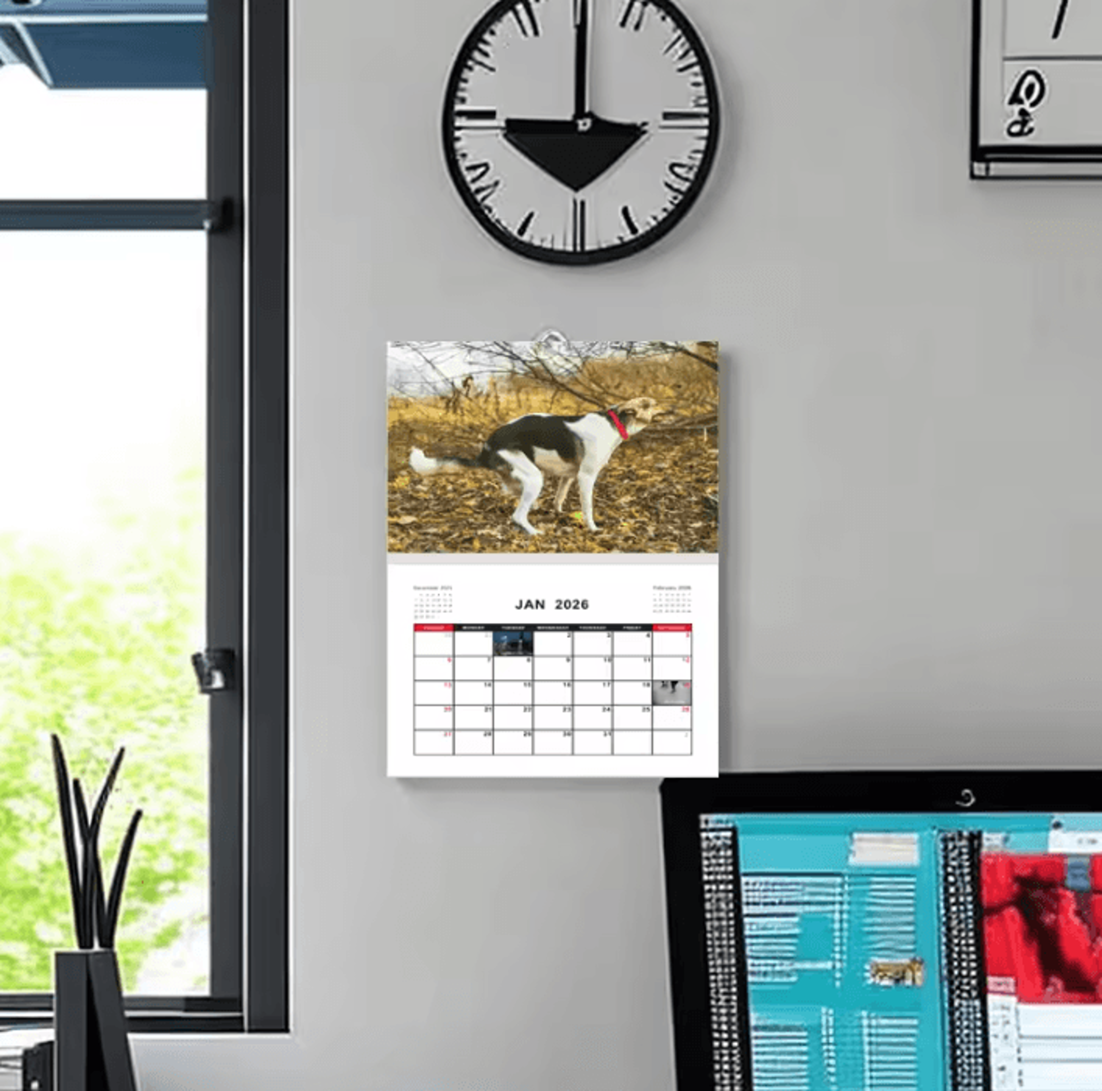 2026 Funny Pooping Dog Wall Calendar Monthly Planner  Organizer 3