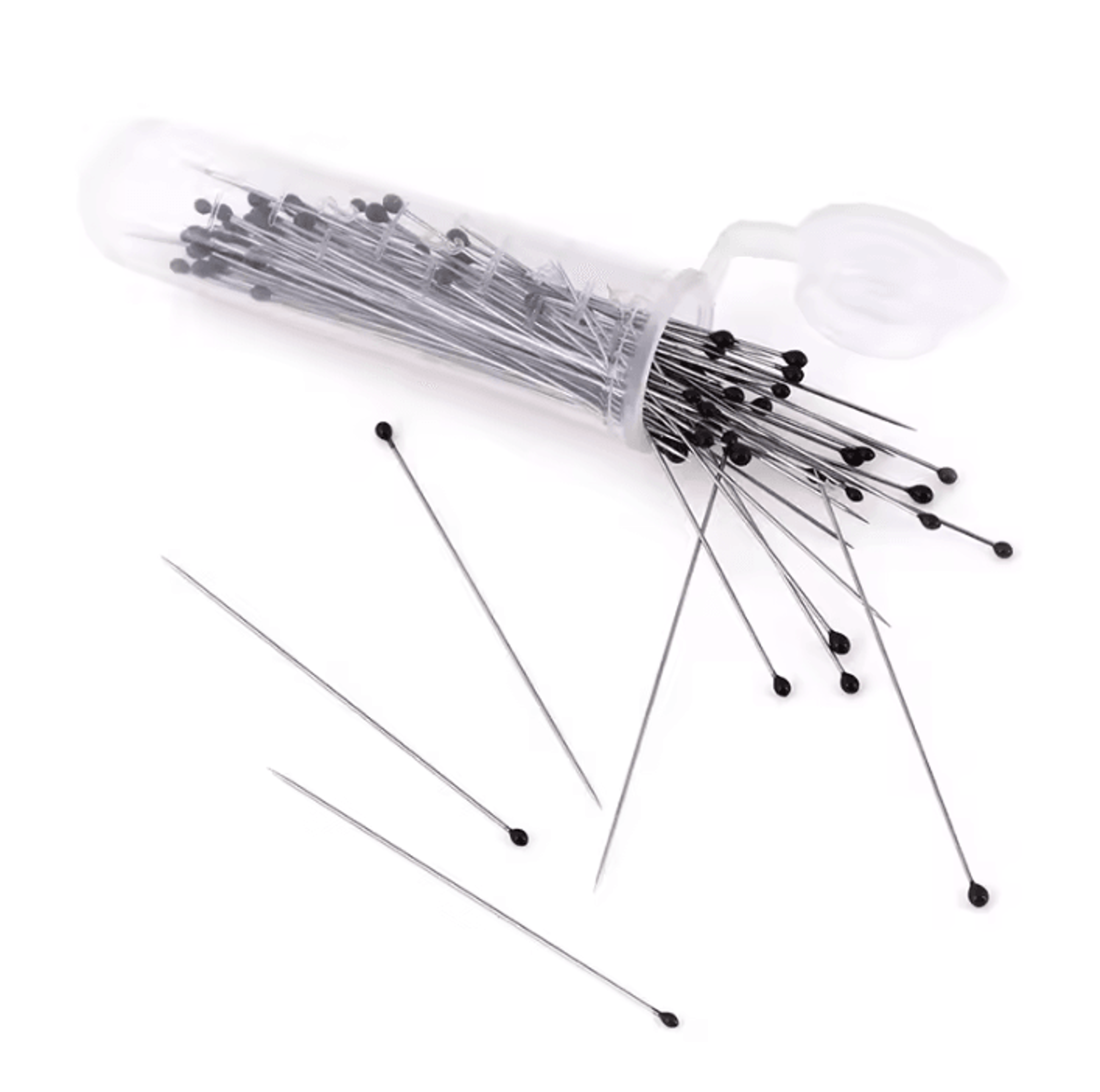 100Piece Stainless Steel Insect Specimen Pins With Storage Box 1