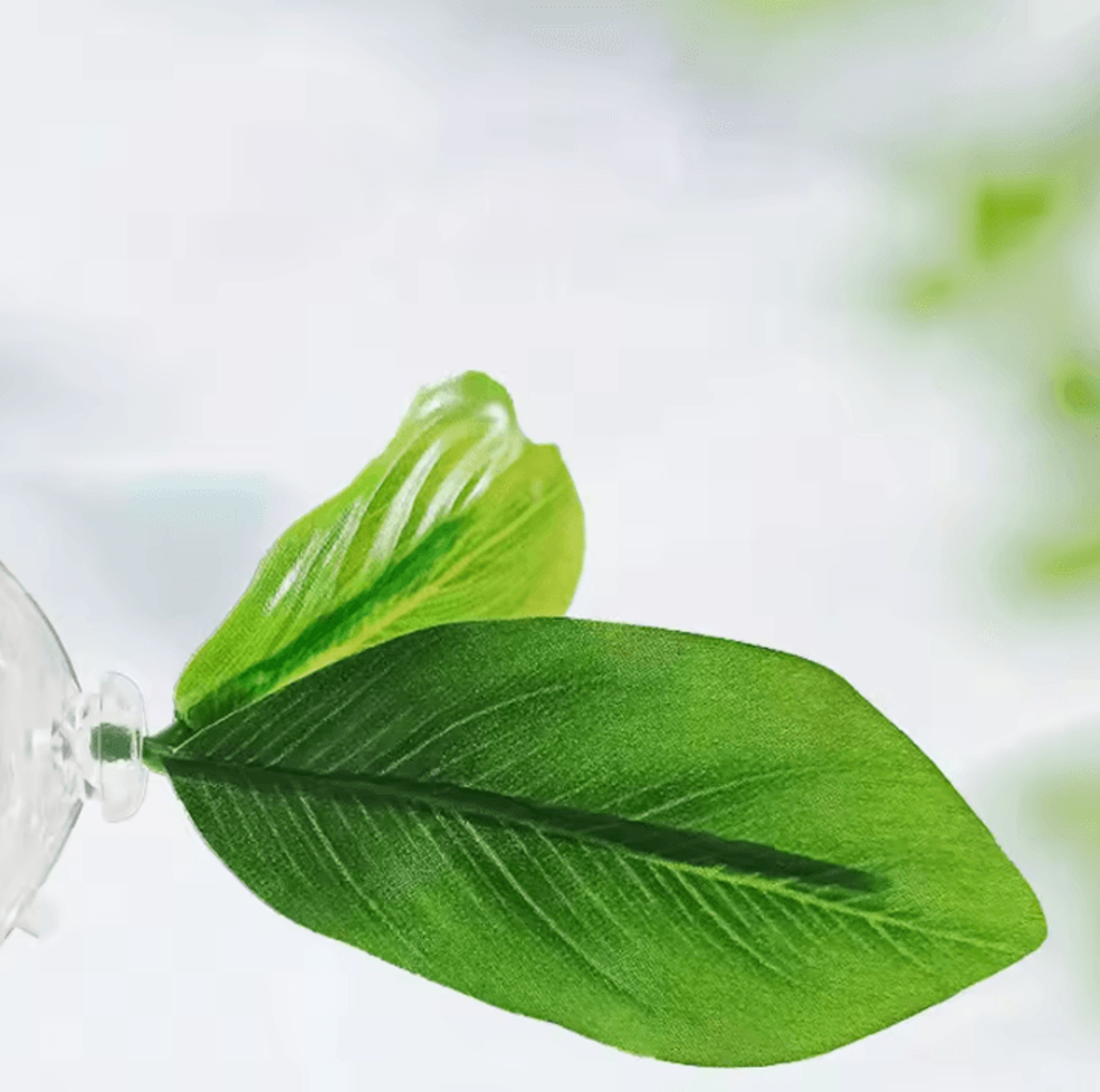 Betta Fish Leaf Hammock With Suction Cup Aquarium Decor 3