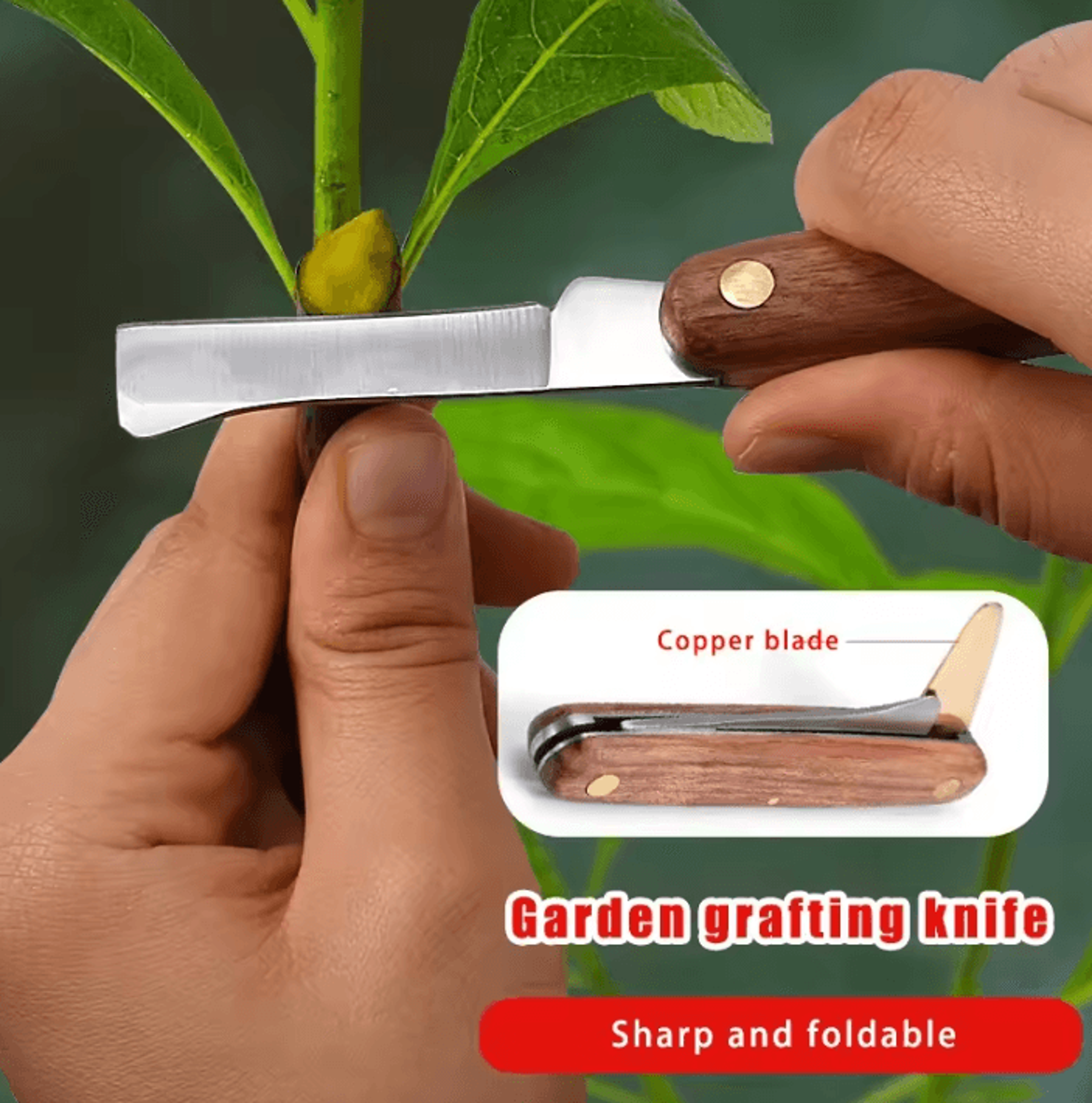 Professional Stainless Steel Grafting Knife Precision Budding Tool For Fruit Trees  Bonsai 2