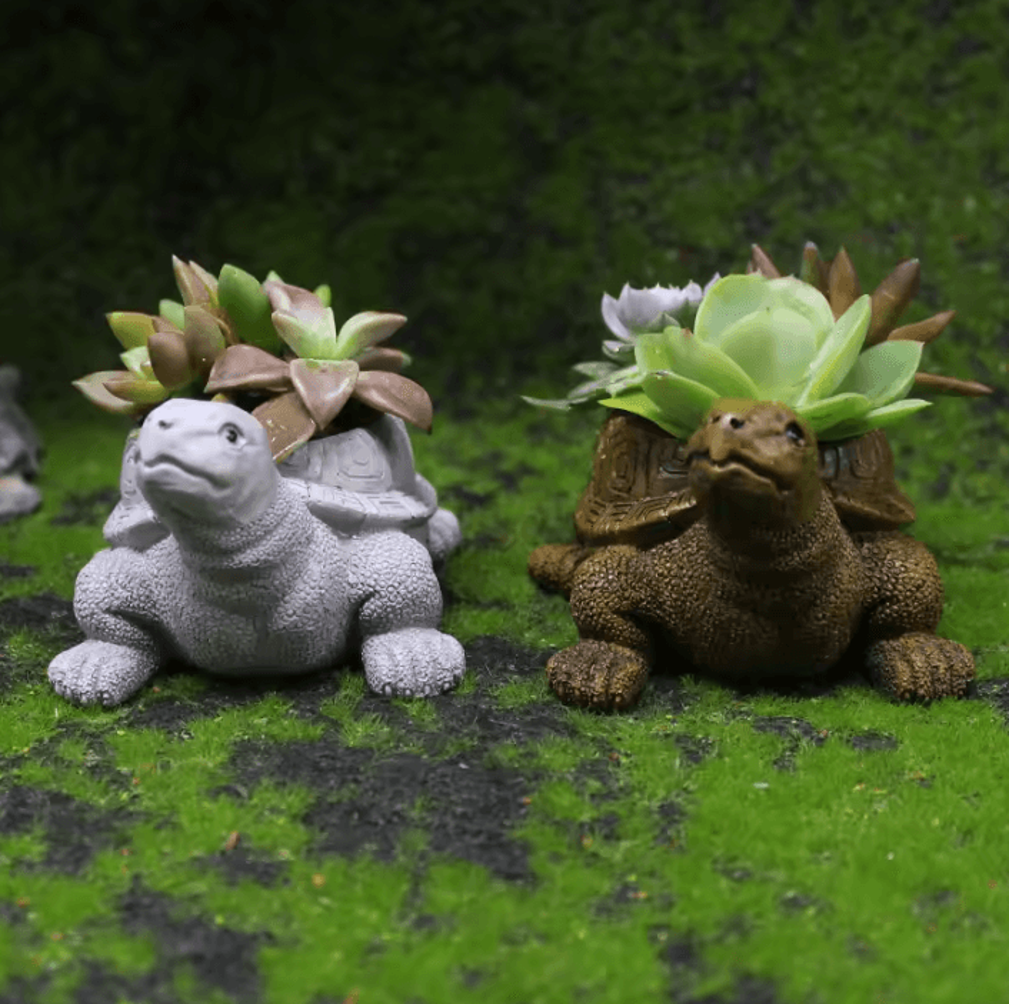 Cartoon Turtle Resin Succulent Planter For Home Office  Garden 3