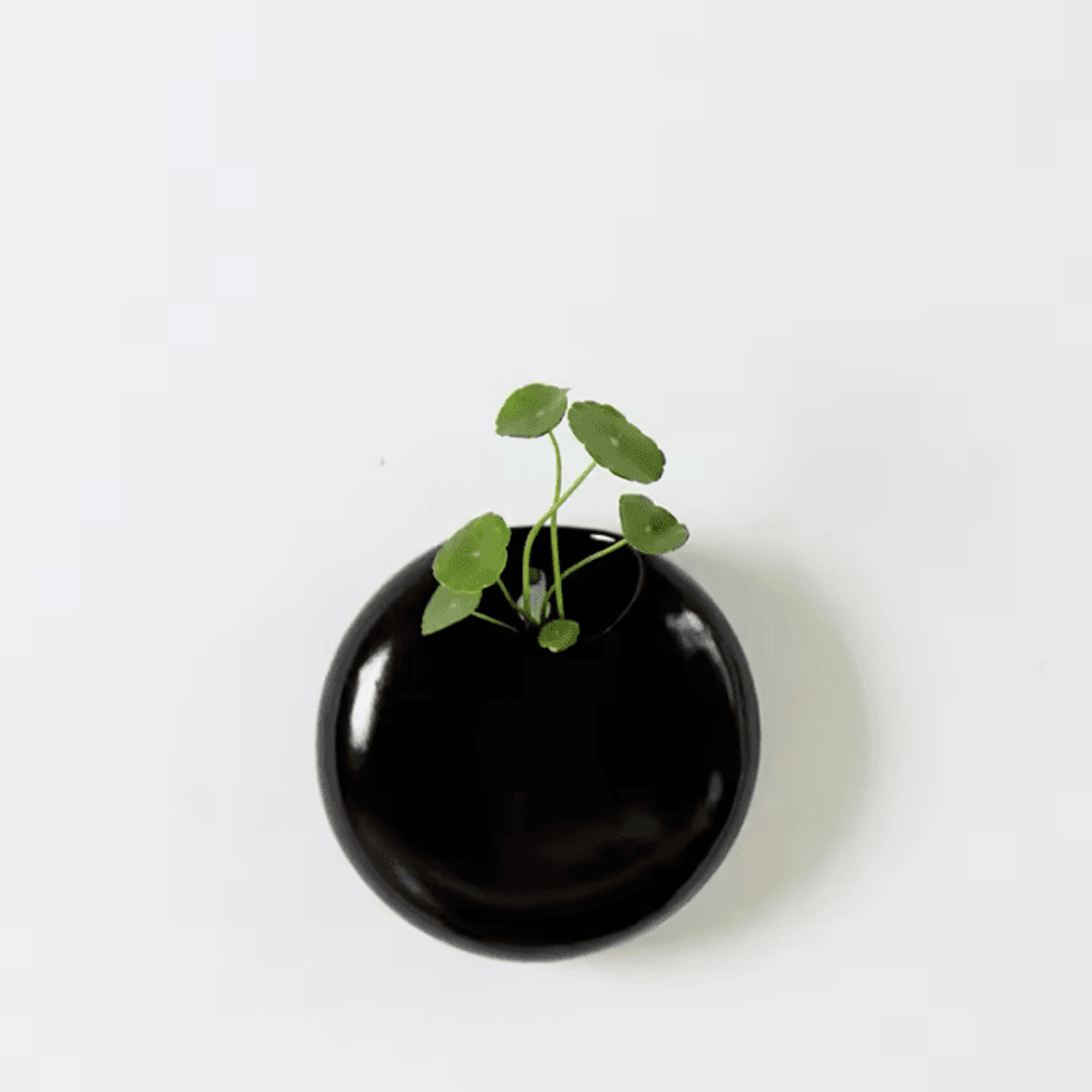 Retro Black  White Wall Mounted Ceramic Planter  Modern Succulent Pot  Hydroponic Flower Vase 2