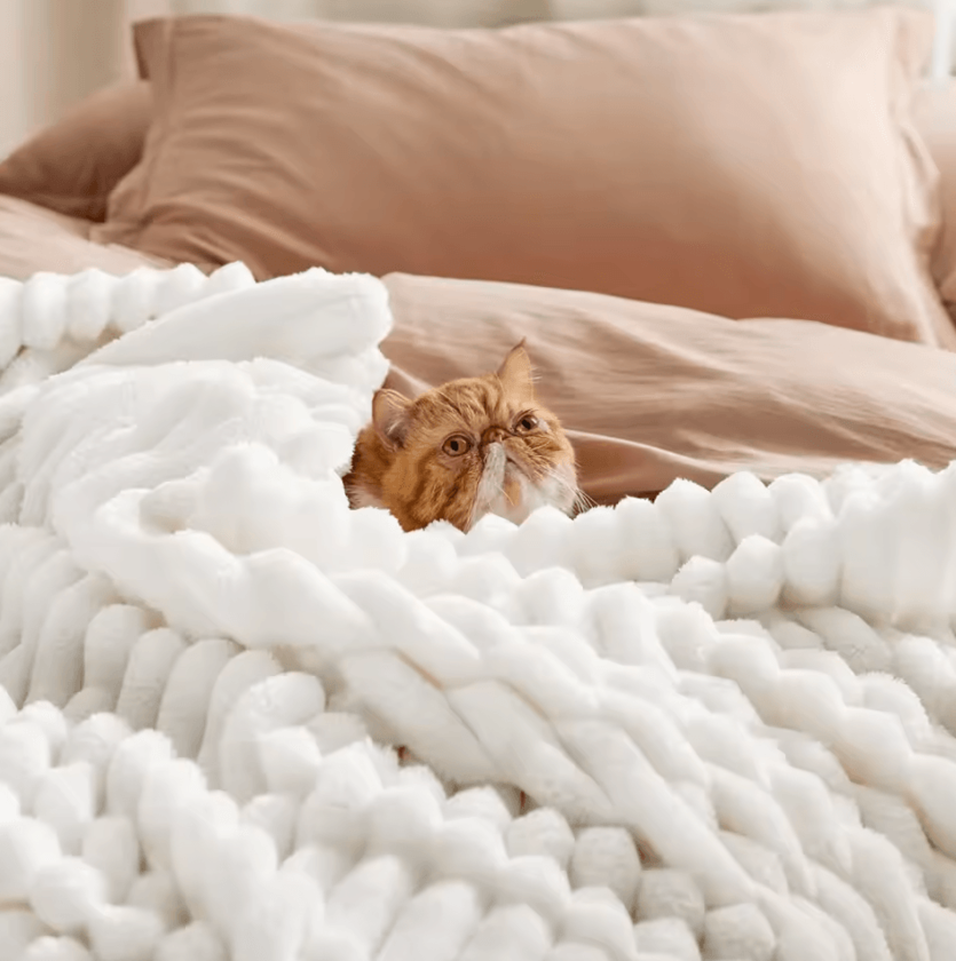 Soft Striped Fleece Throw Blanket 1