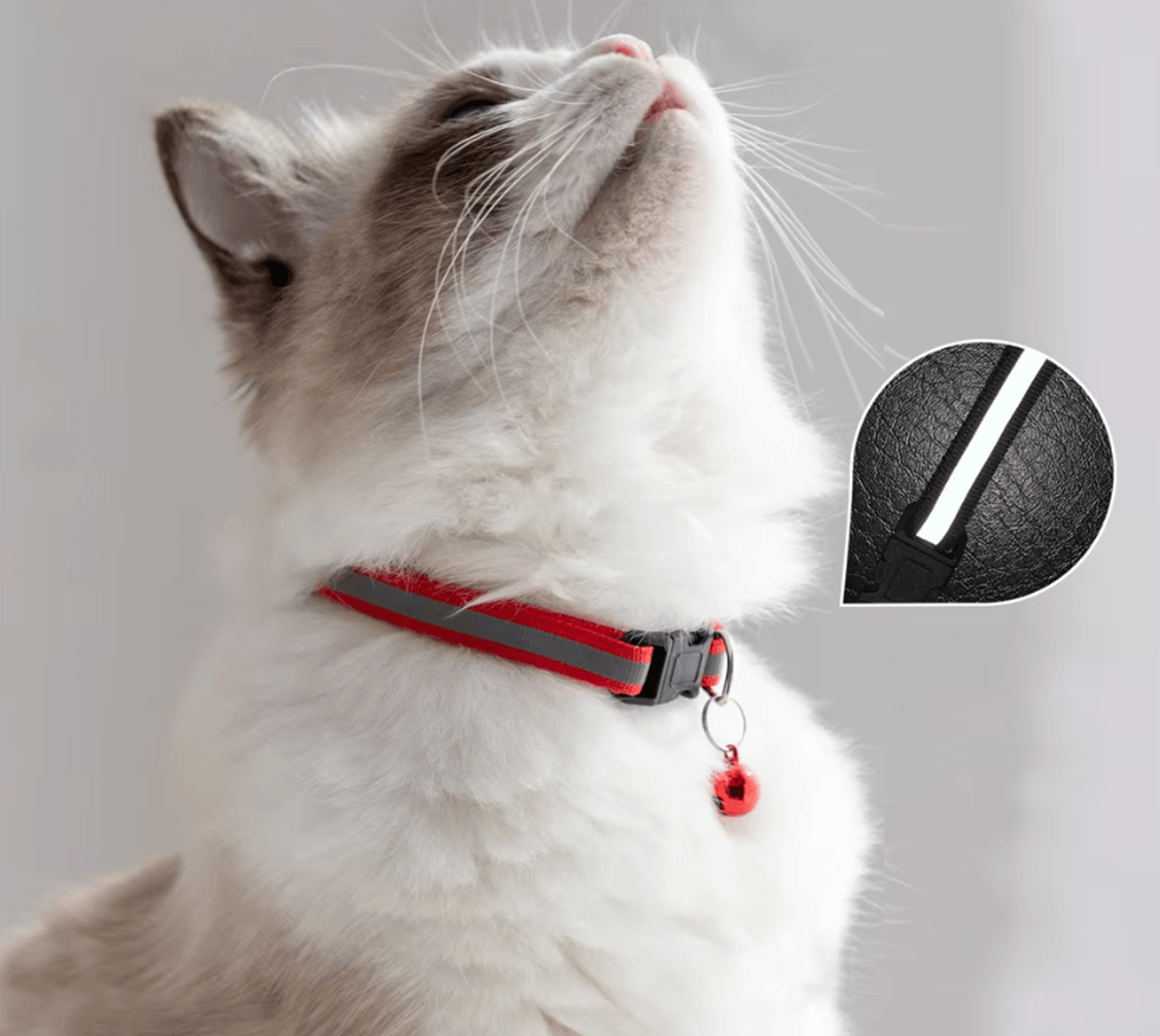 2PCS Reflective Adjustable Pet Collars With Bells For Cats And Small Dogs Available In 12 Colors 1