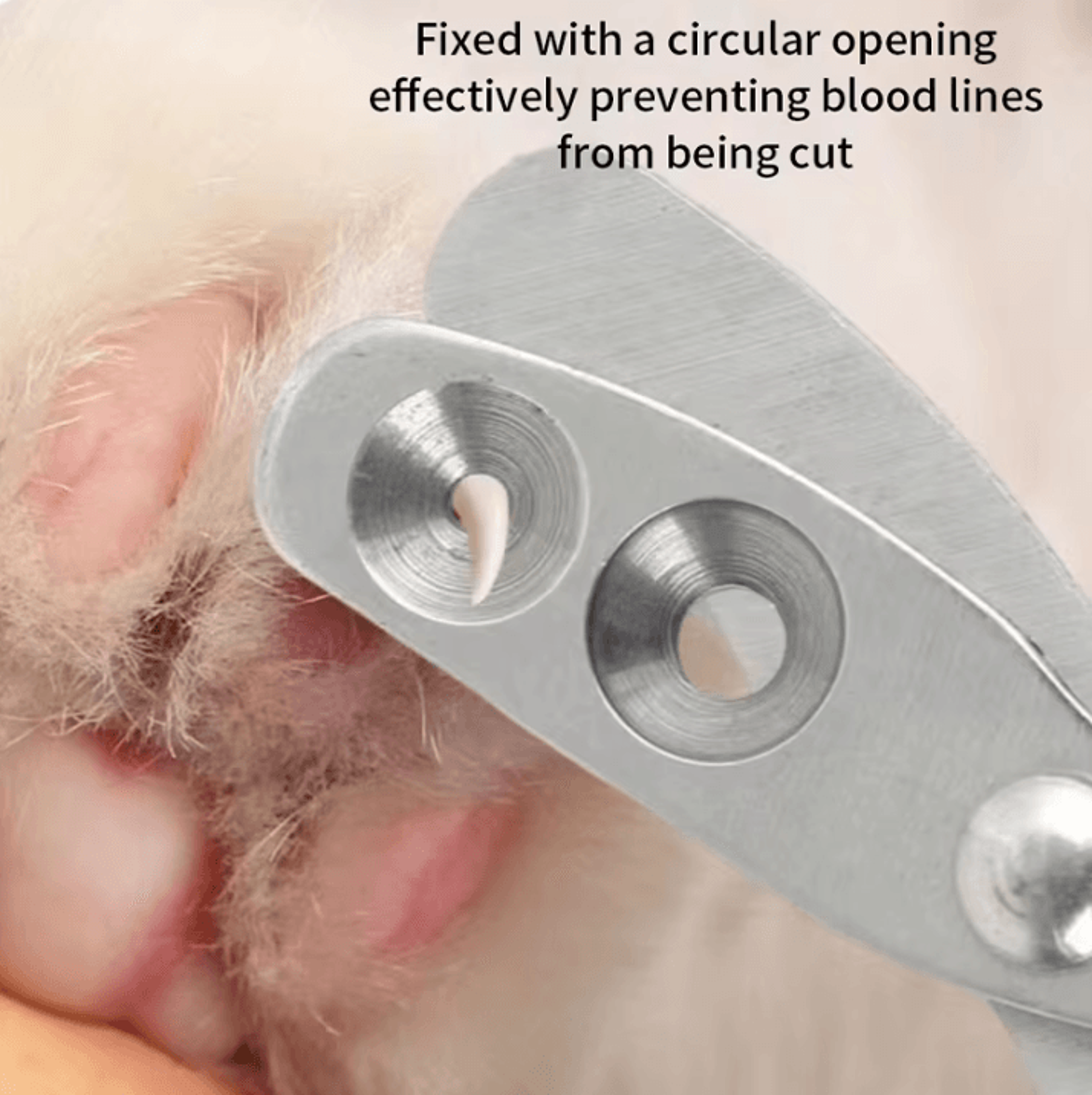 Professional Cat Nail Clippers  Pet Nail Grooming Clippers Stainless Steel Small Dog  Cat Nail Cutt 2