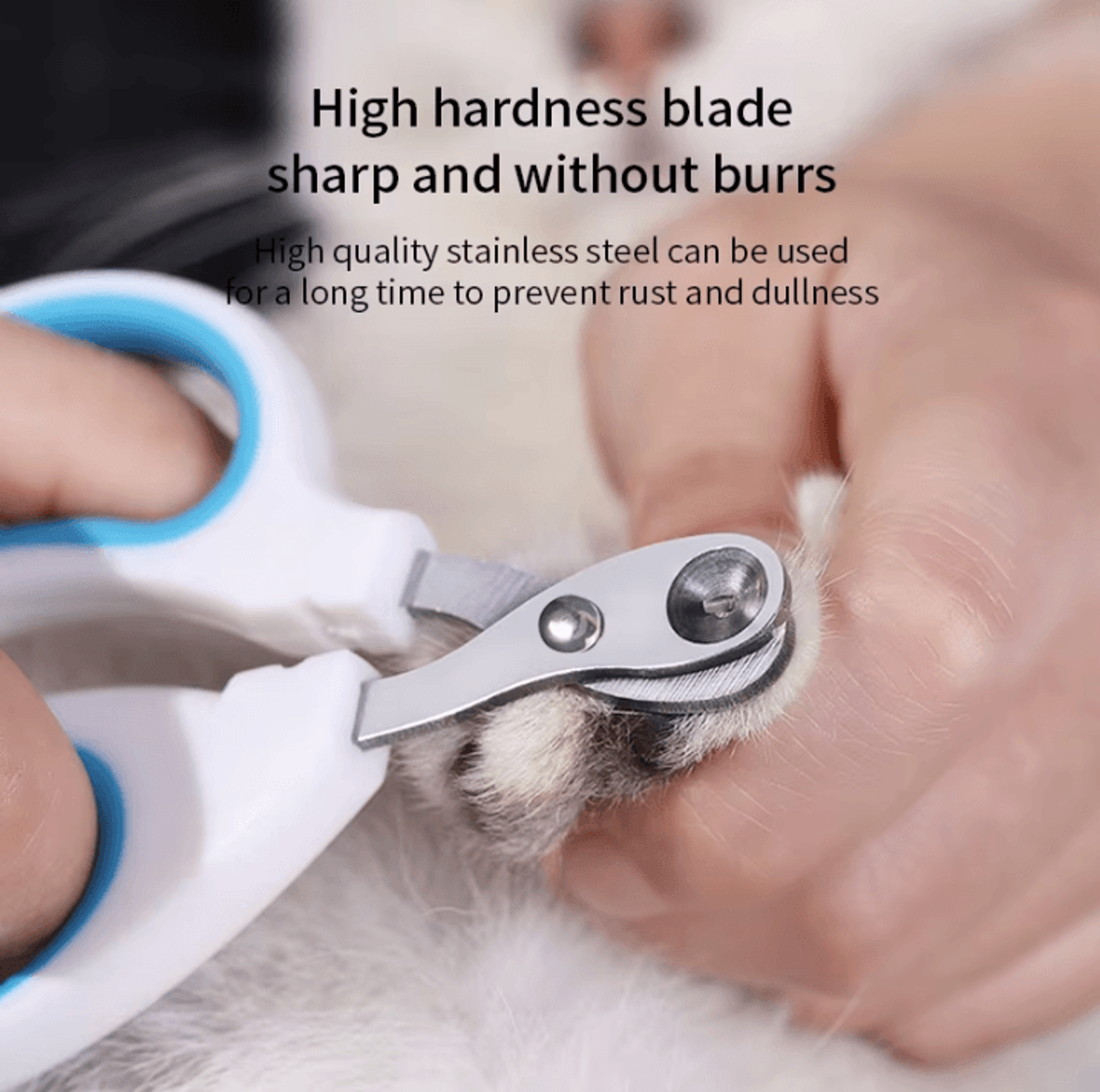 Professional Cat Nail Clippers  Pet Nail Grooming Clippers Stainless Steel Small Dog  Cat Nail Cutt 4