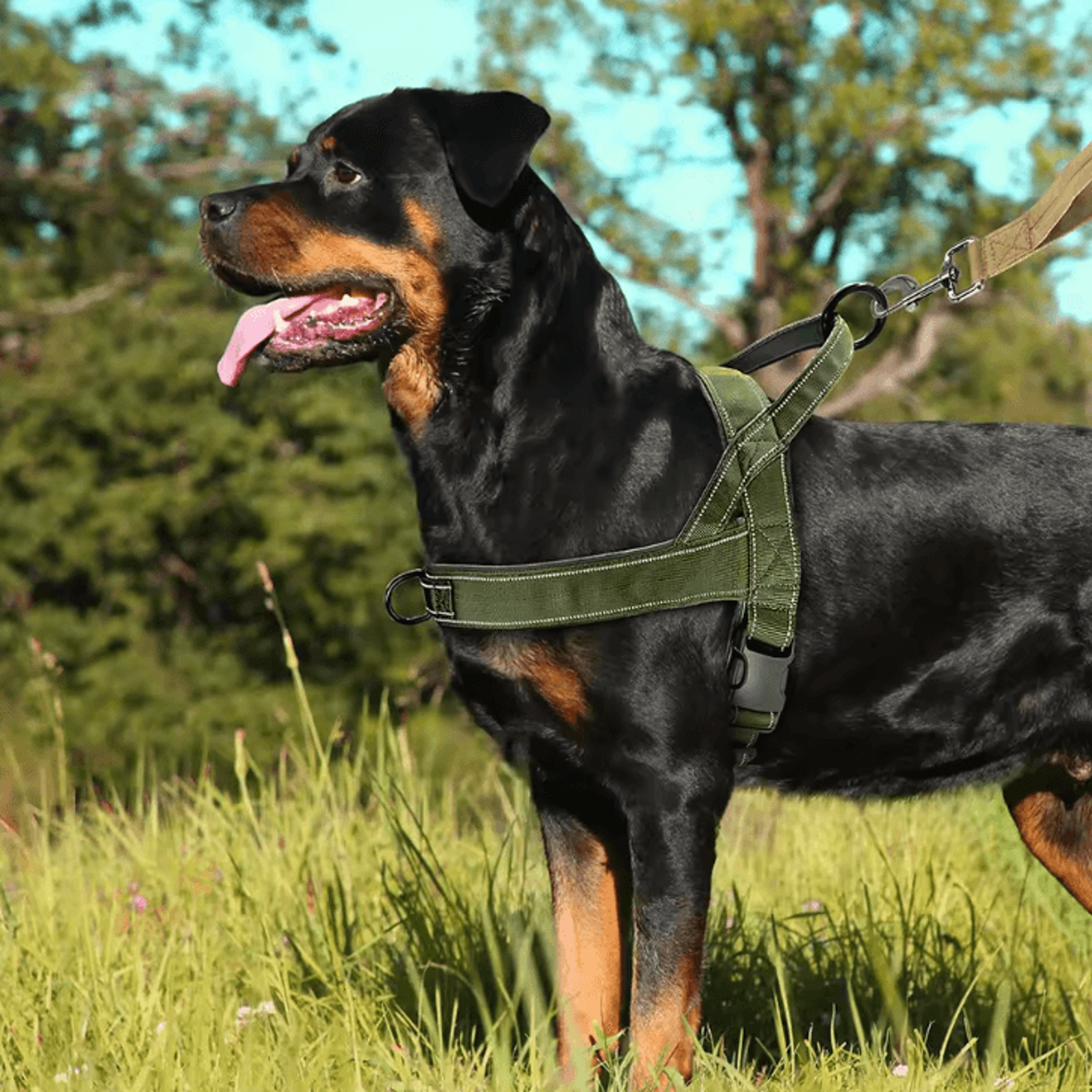 Reflective No Pull Nylon Dog Harness Adjustable Pet Training Vest For Medium Large Dogs 1