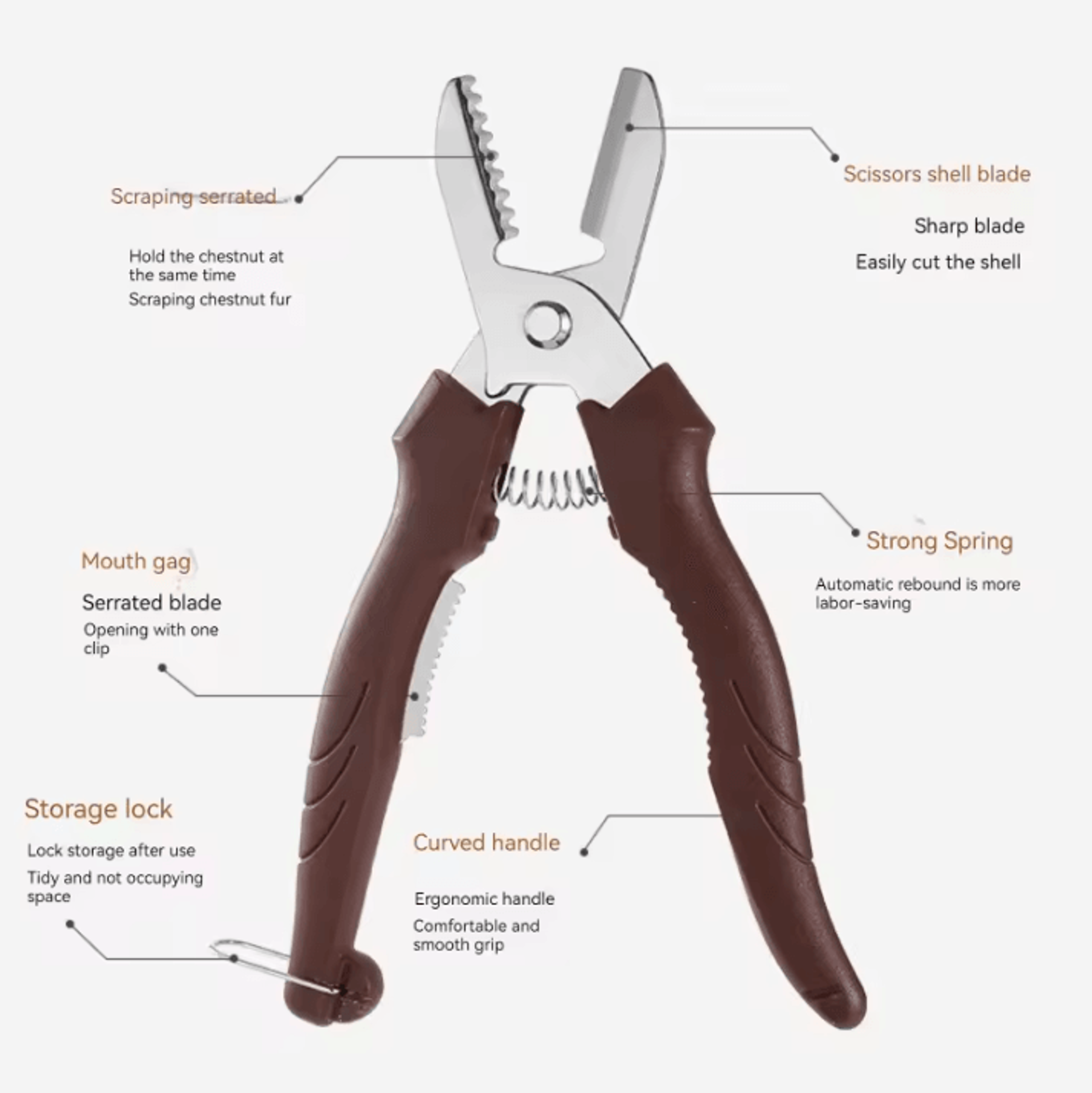 Multipurpose Stainless Steel Chestnut Cutter Scissors  CrossCut Chestnut Peeler  Nut Shell Opener 4