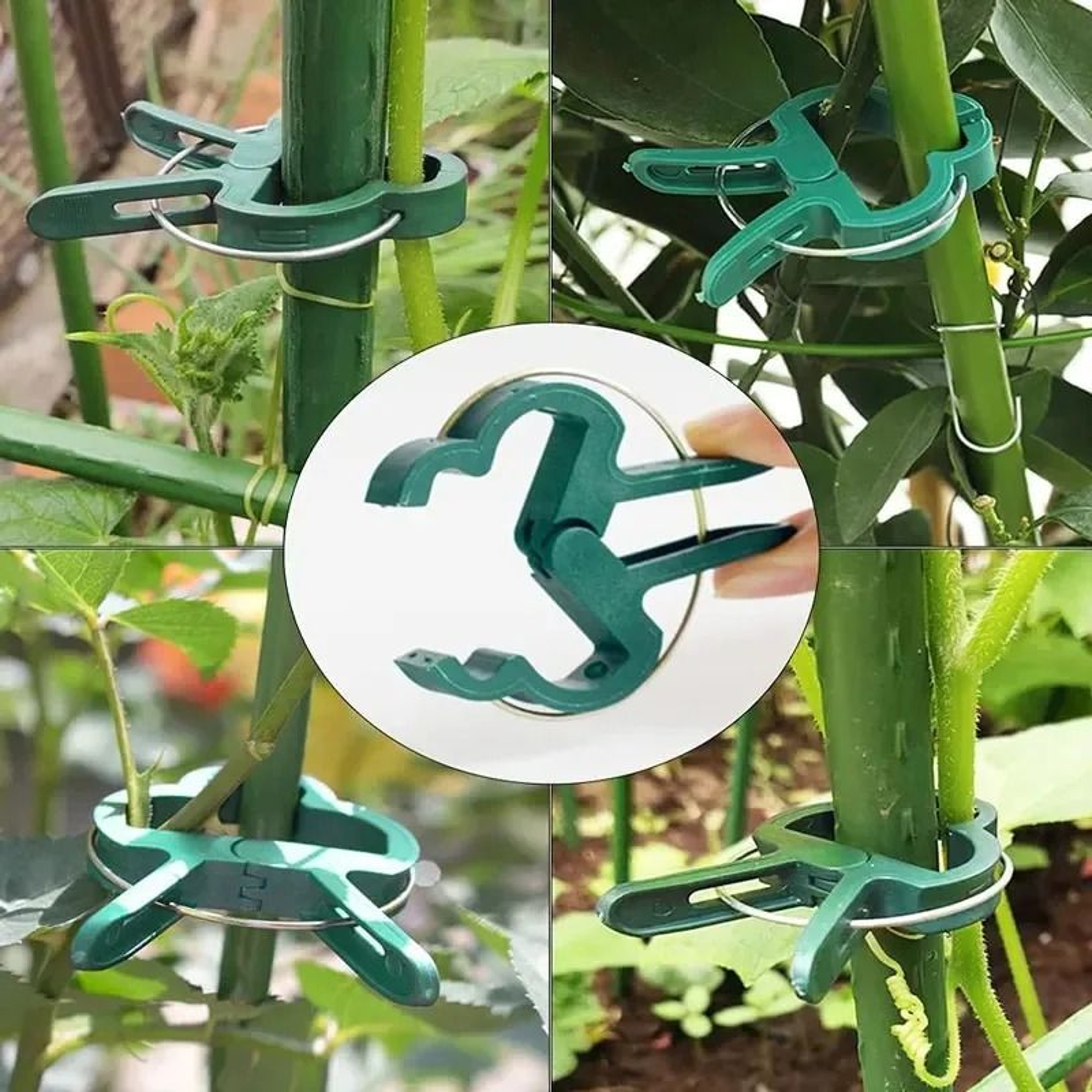 Reusable Plant Fixed Clips  Greenhouse Stem Fasteners For Tomatoes Vines And Vegetables 1
