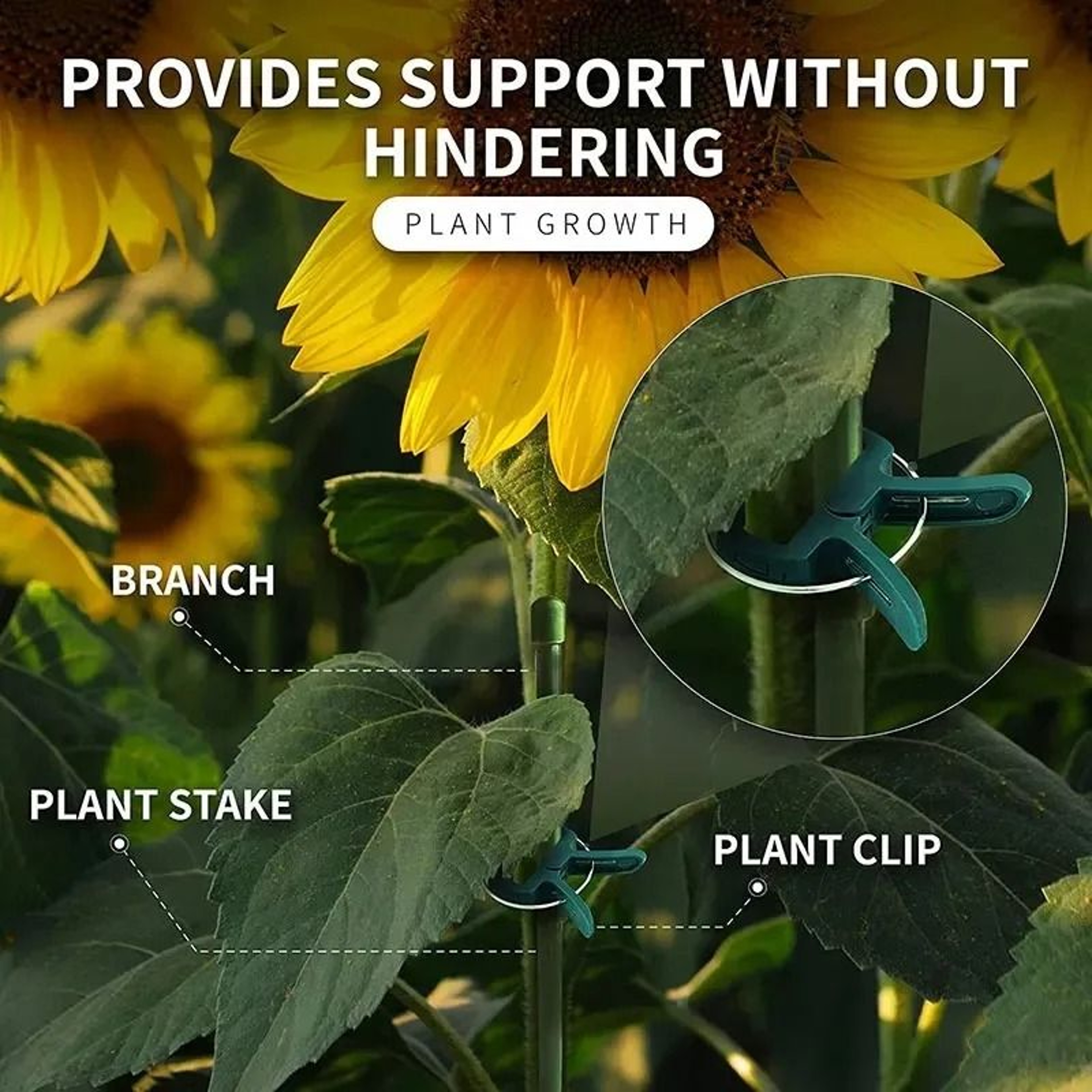 Reusable Plant Fixed Clips  Greenhouse Stem Fasteners For Tomatoes Vines And Vegetables 5