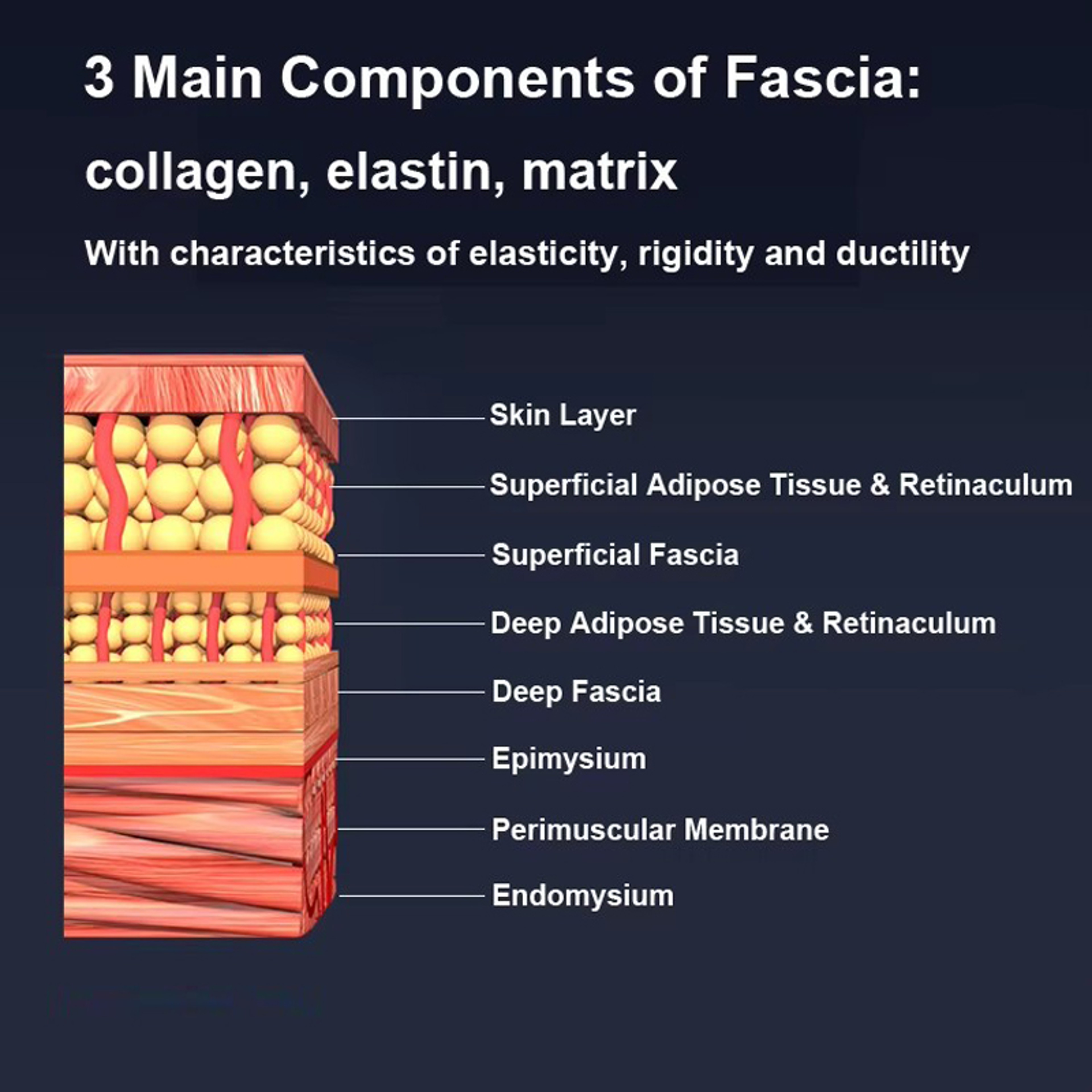 Electric Gua Sha Muscle Scraper Deep Tissue Fascia Massager For Recovery 3