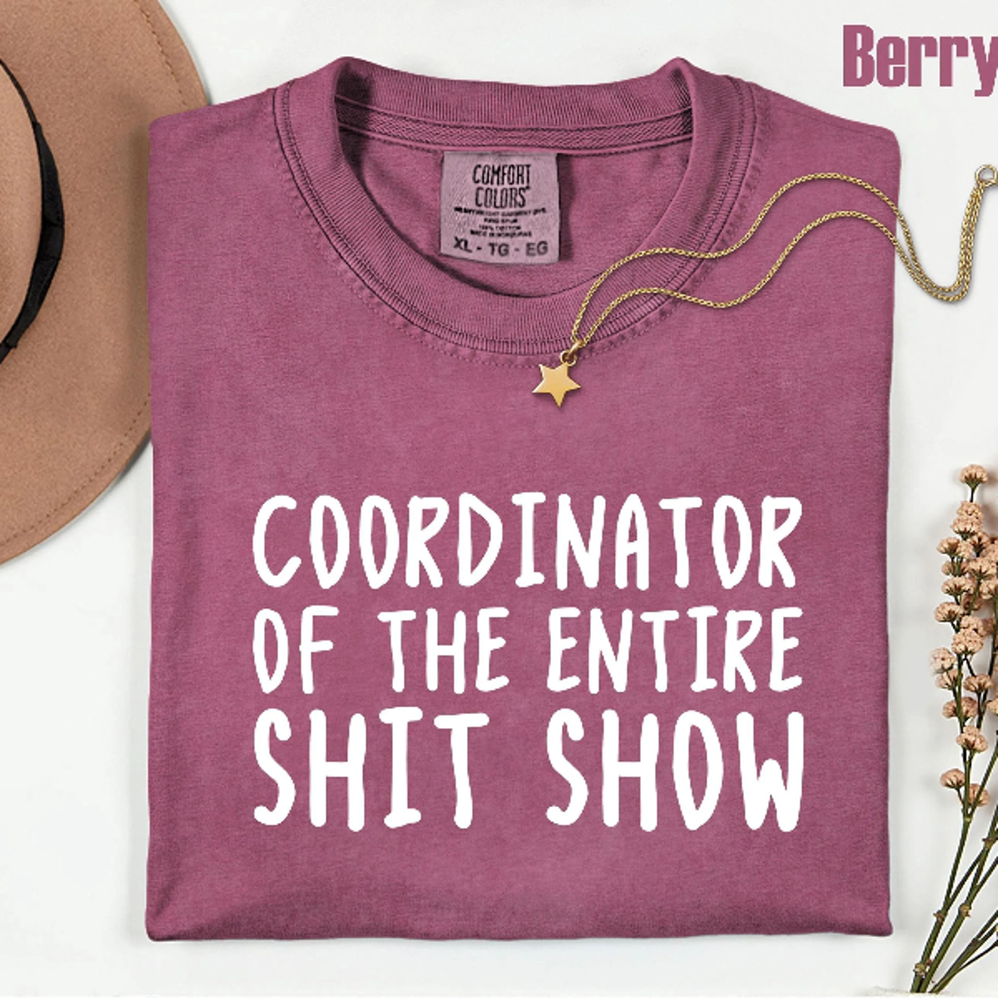 Comfort Colors Office Humor Shirt Coordinator Of The Entire Shit Show Shirt Funny Work Humor Tee 2