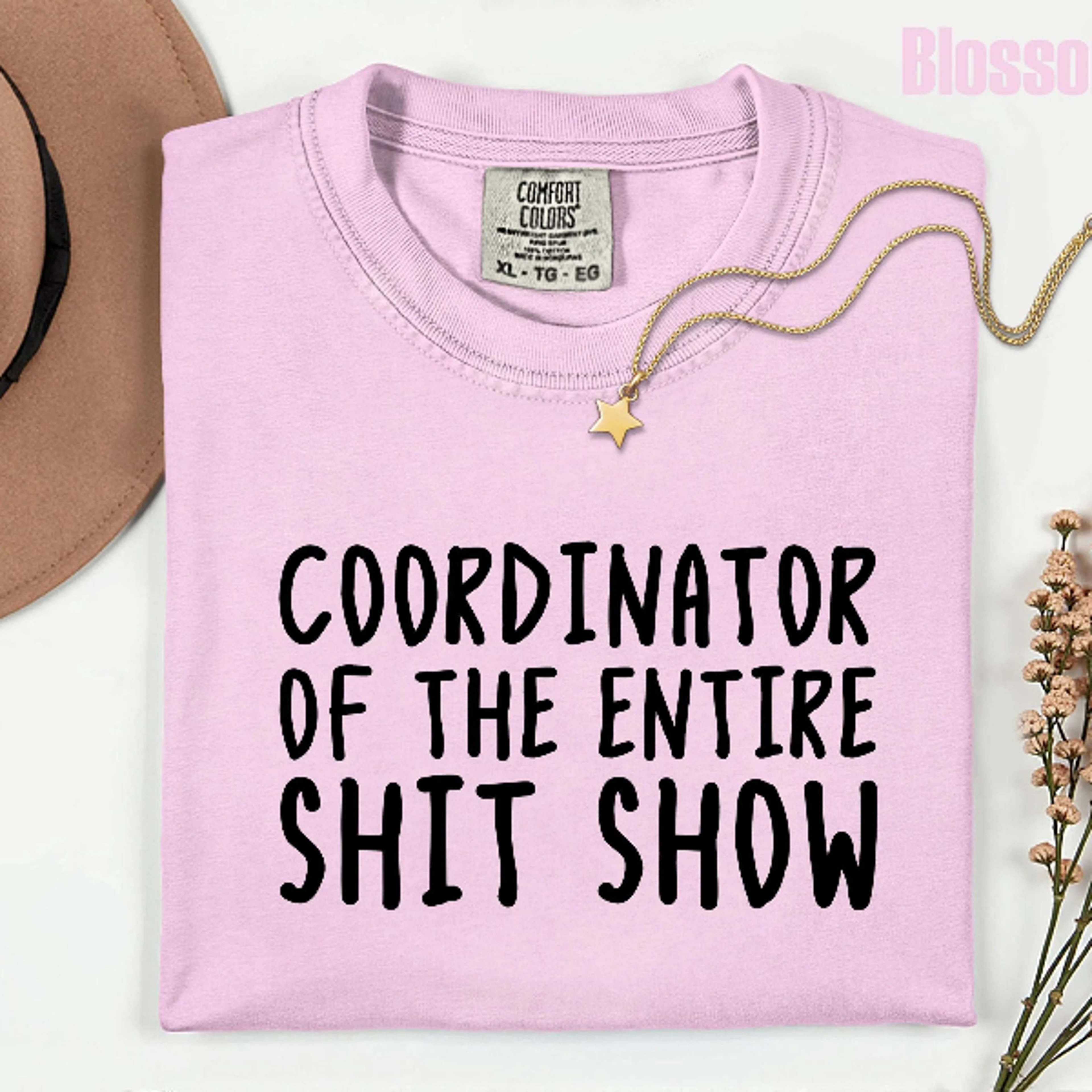 Comfort Colors Office Humor Shirt Coordinator Of The Entire Shit Show Shirt Funny Work Humor Tee 3