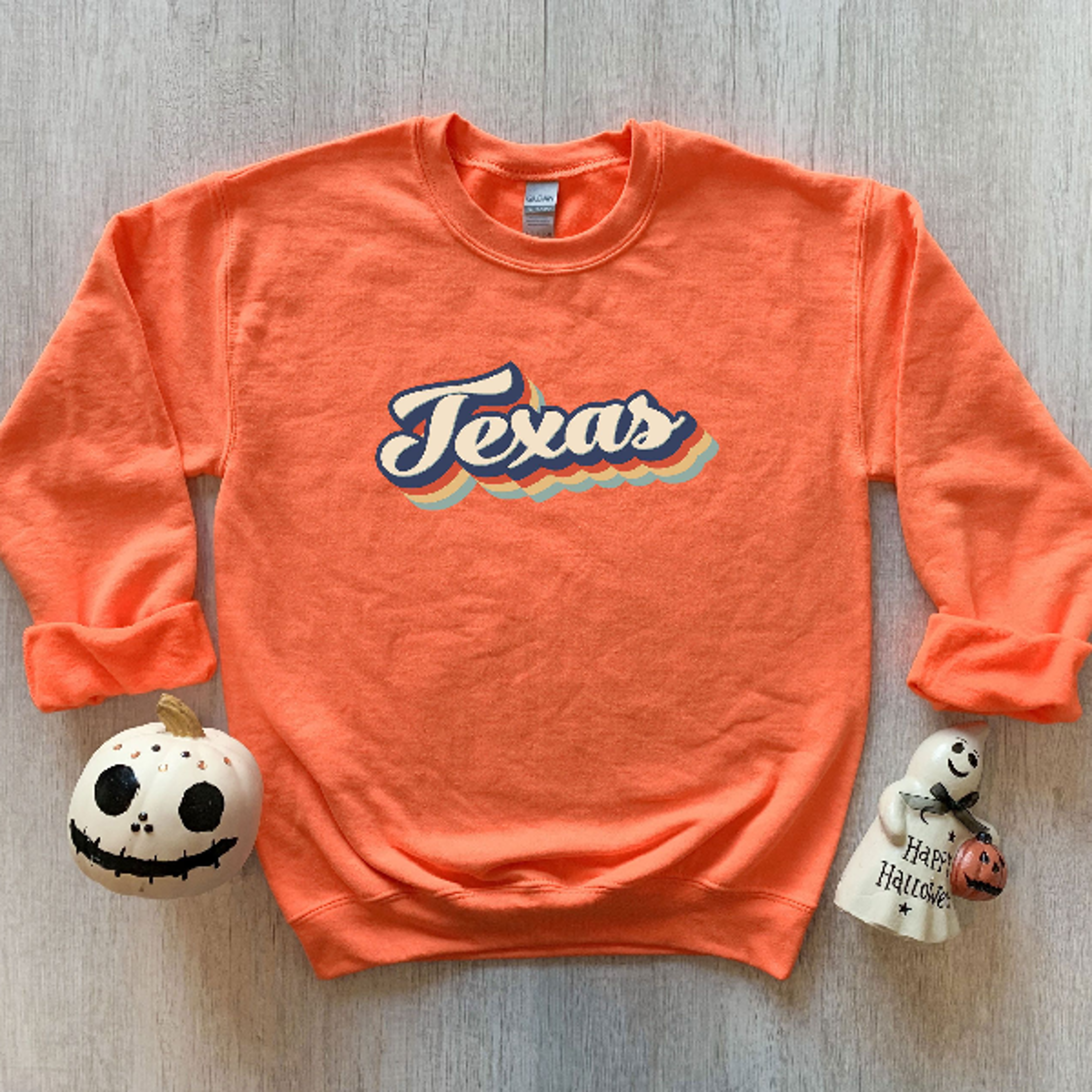 Retro Texas Sweatshirt  Vintage Texas State Crewneck Pullover Unisex Texas Gift Sweater 4