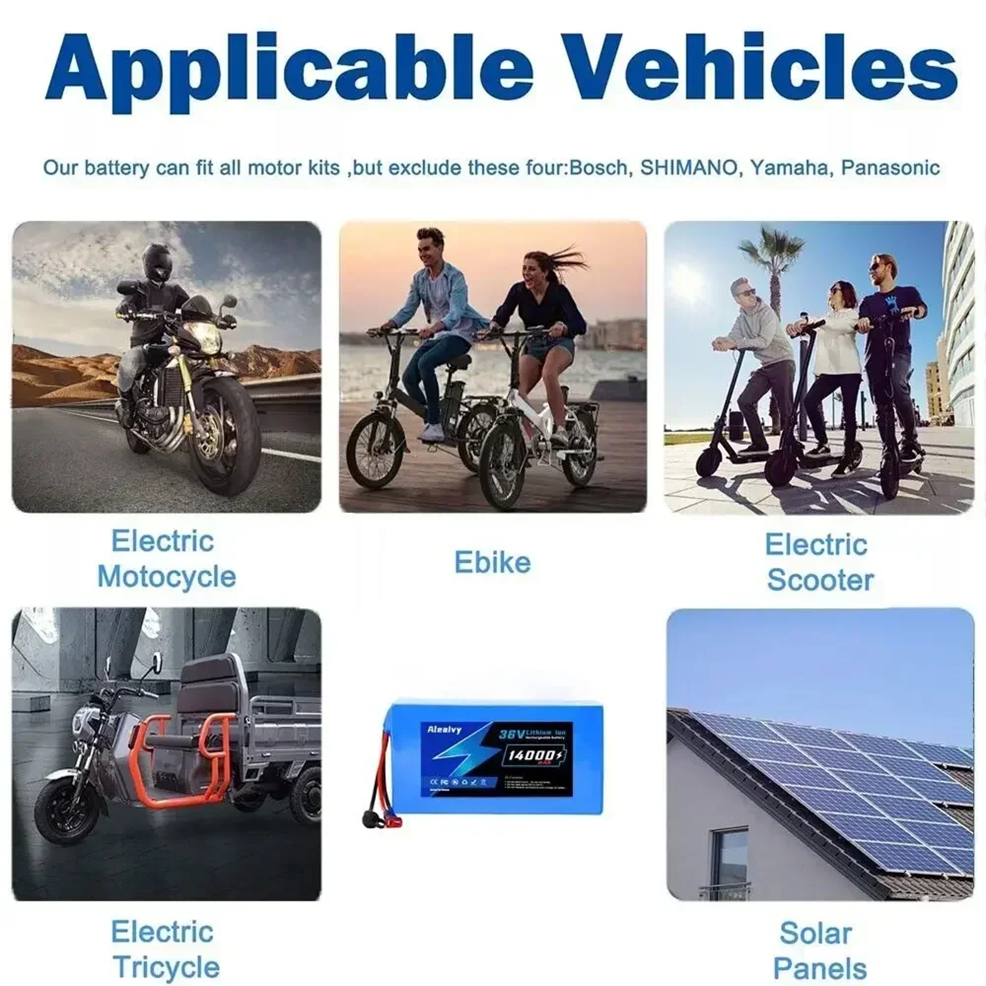 Lithium Battery Pack Ebike Battery With Charger For Bicycle Scooter Motorcycle 1