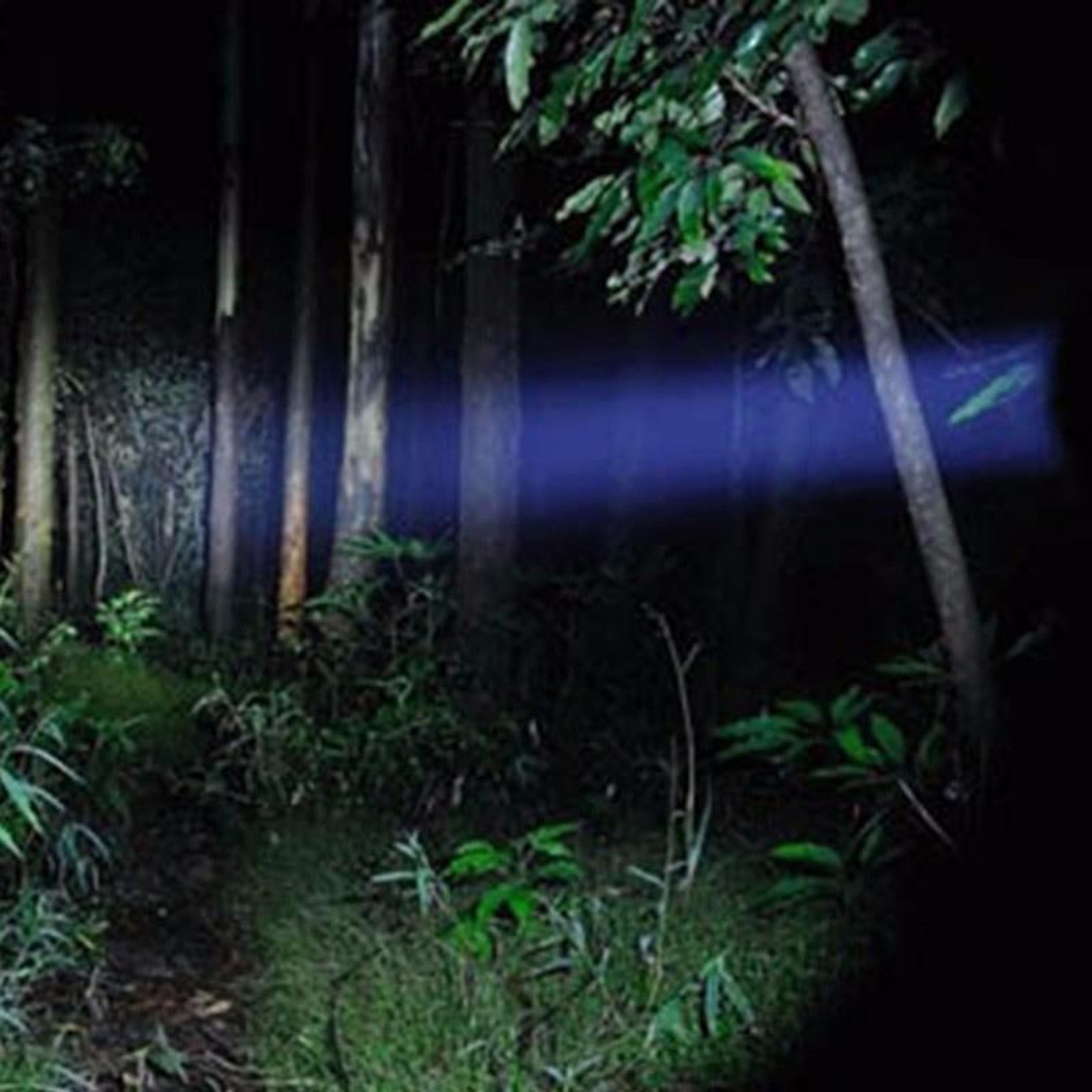 Rechargeable Zoom LED Flashlight for Camping, Hiking & Emergency Use – view 7