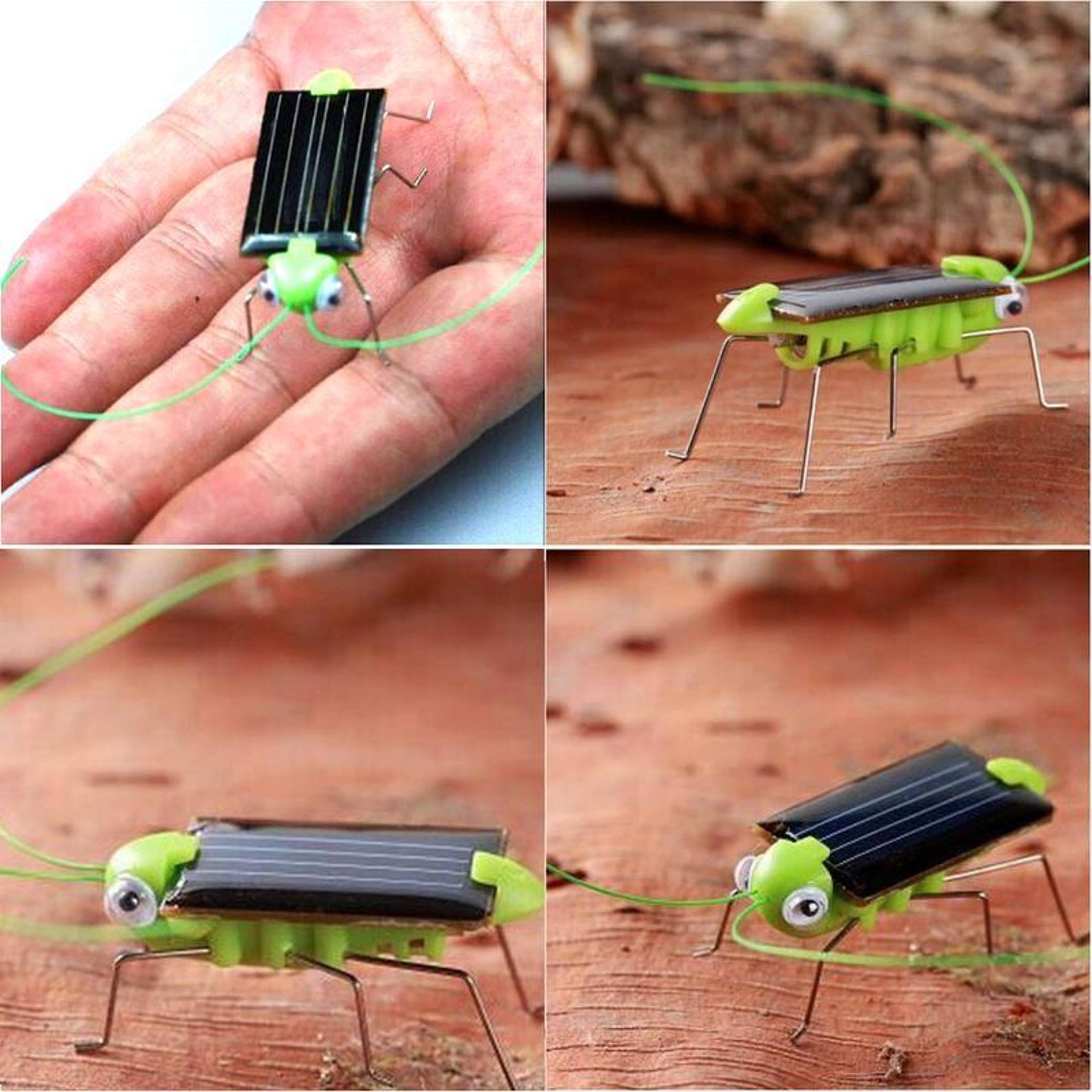 Solar Powered Grasshopper Bug Toy For Kids Eco Friendly Vibrating Insect Toy 3