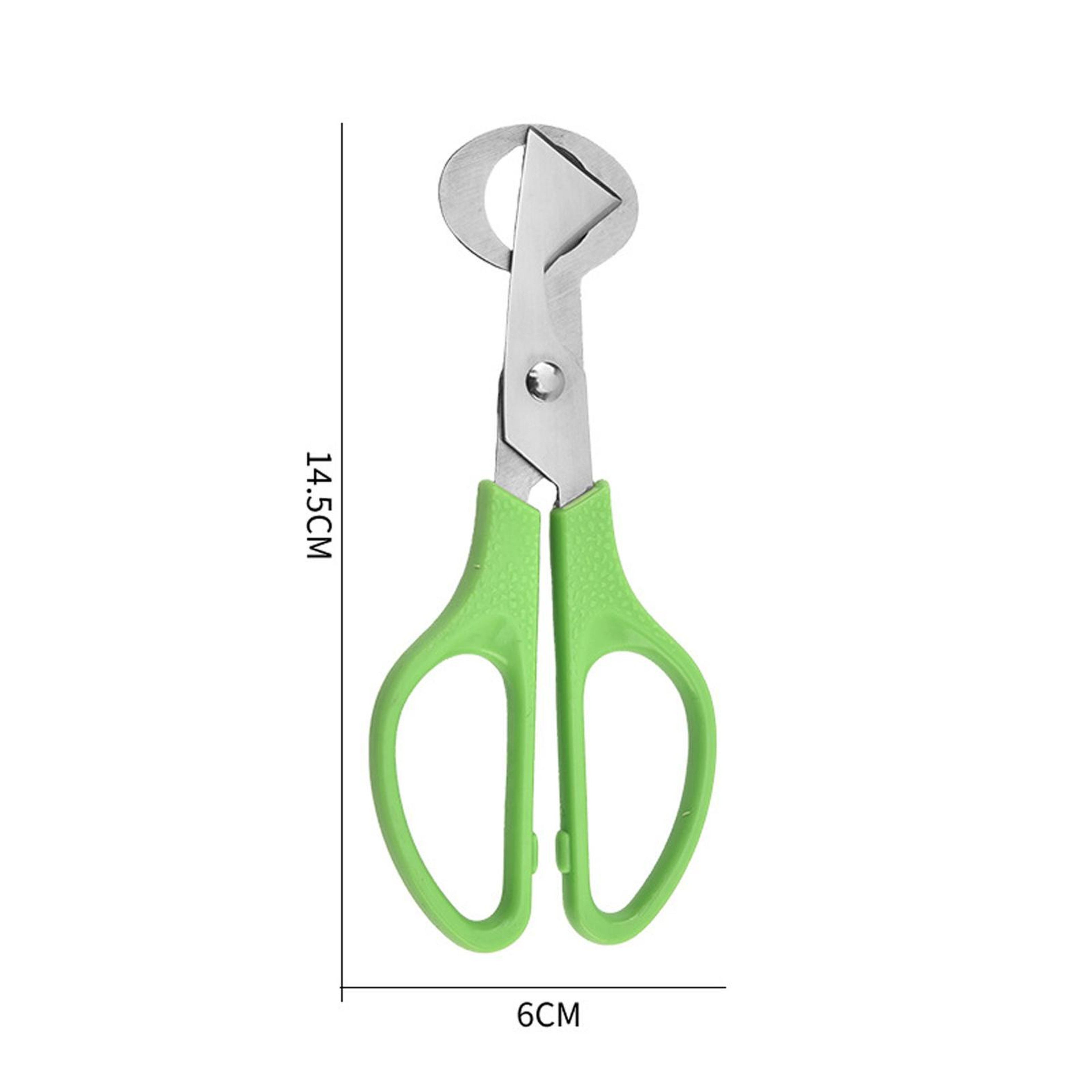 Quail Egg Scissors Stainless Steel Egg Cutter For Clean Shell Removal 3