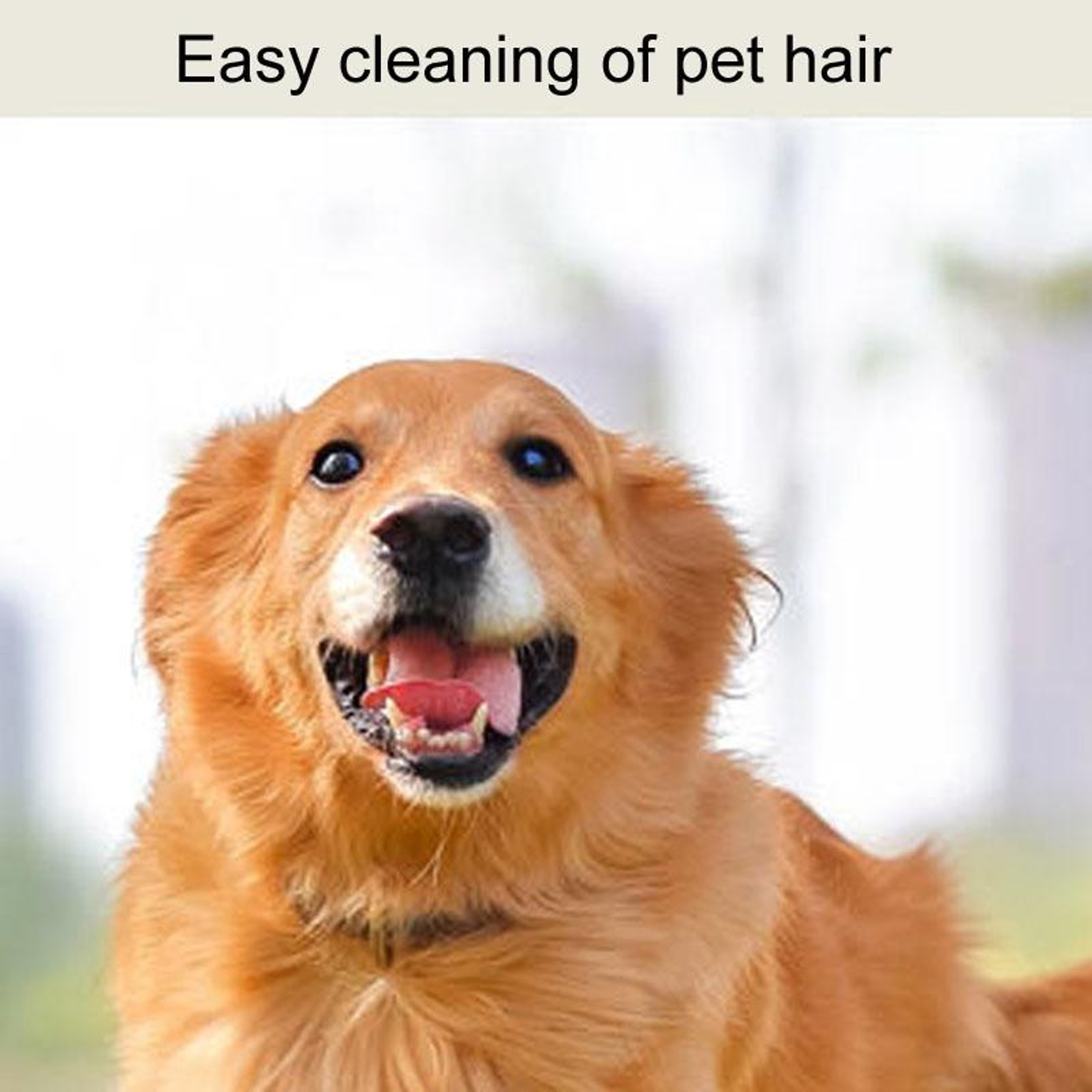 Portable Pet Hair Remover Reusable Lint Roller For Clothes Furniture And Travel 5