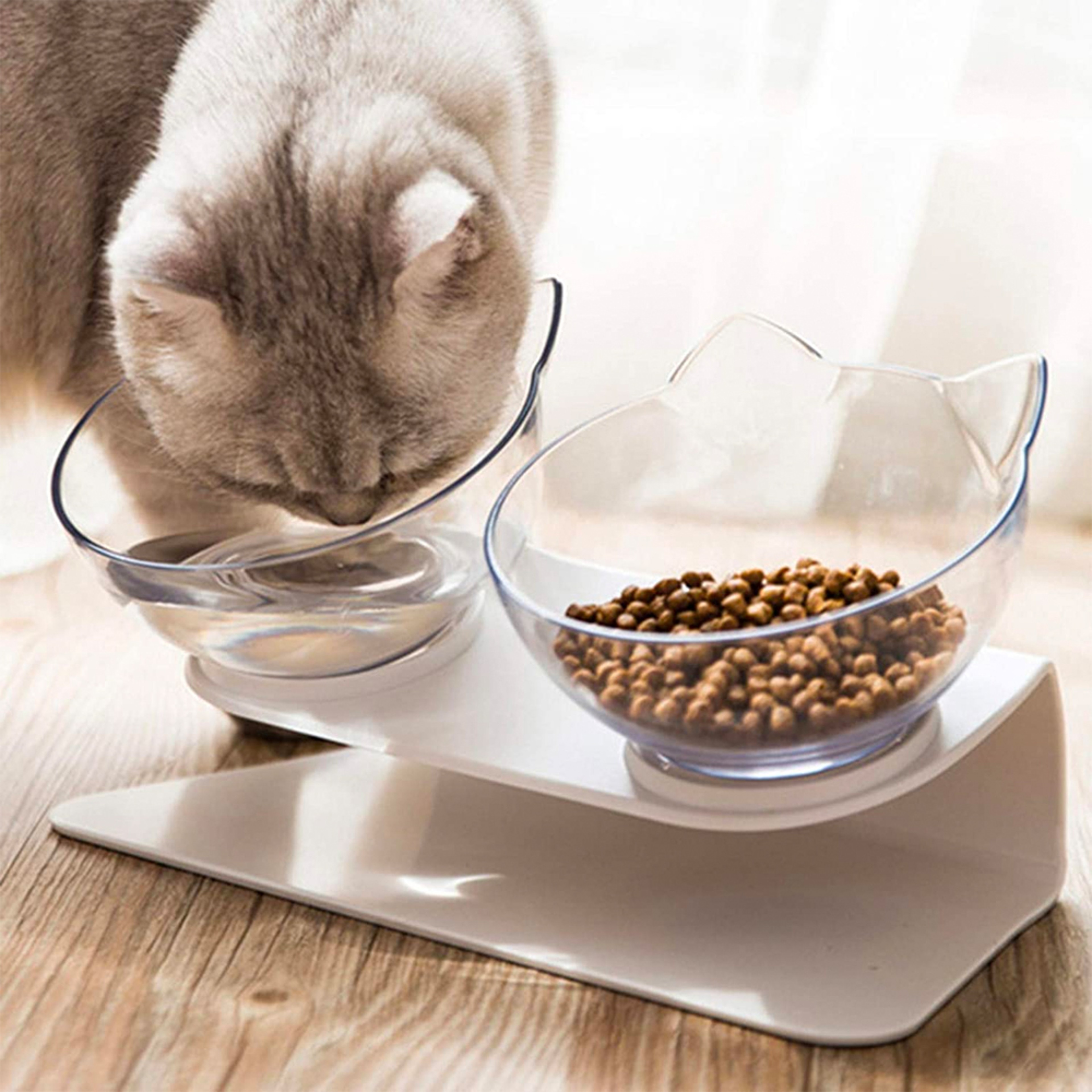 Anti-Vomiting Orthopedic Cat Bowl For Food & Water, Plastic Material – view 6