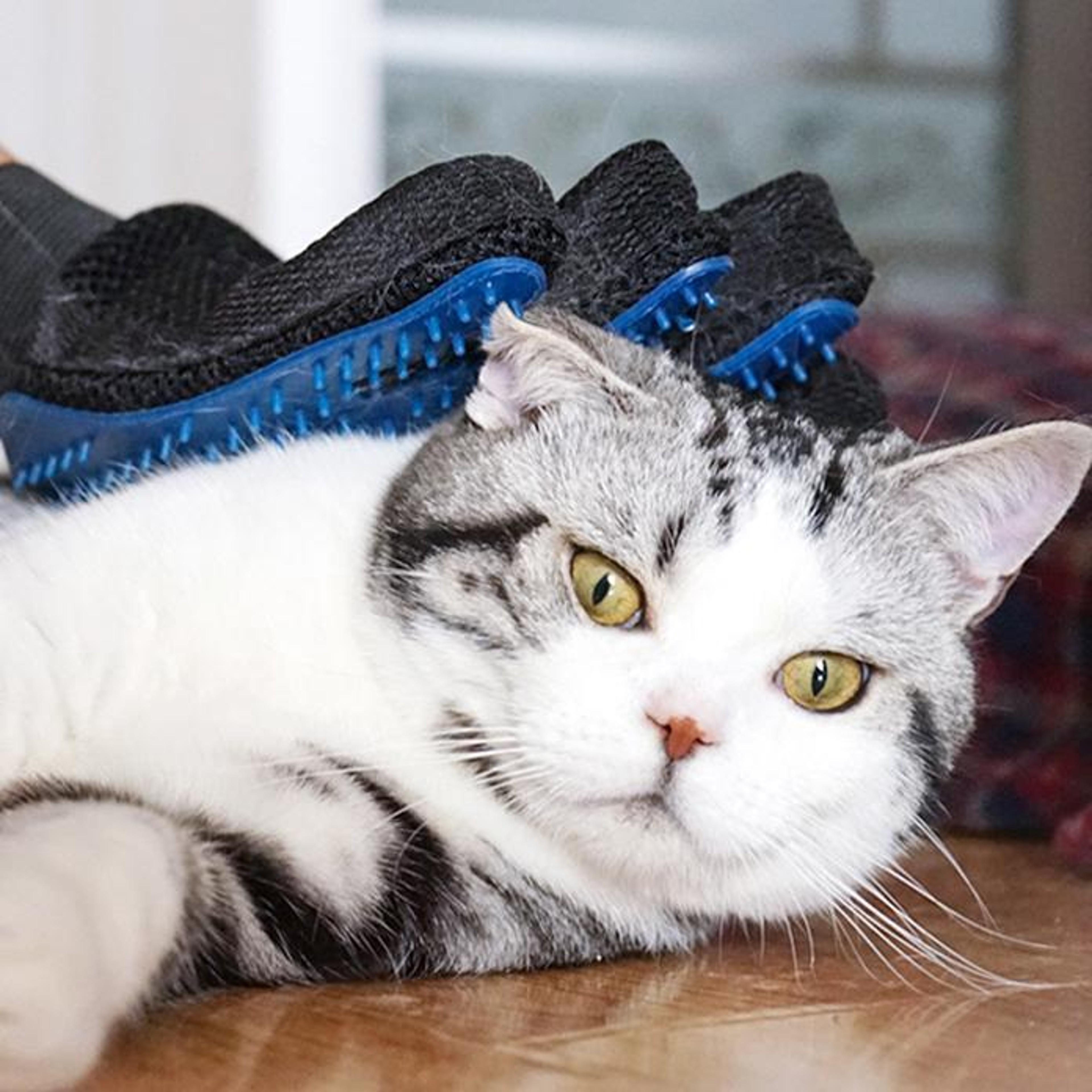 Pet Grooming Gloves – view 3