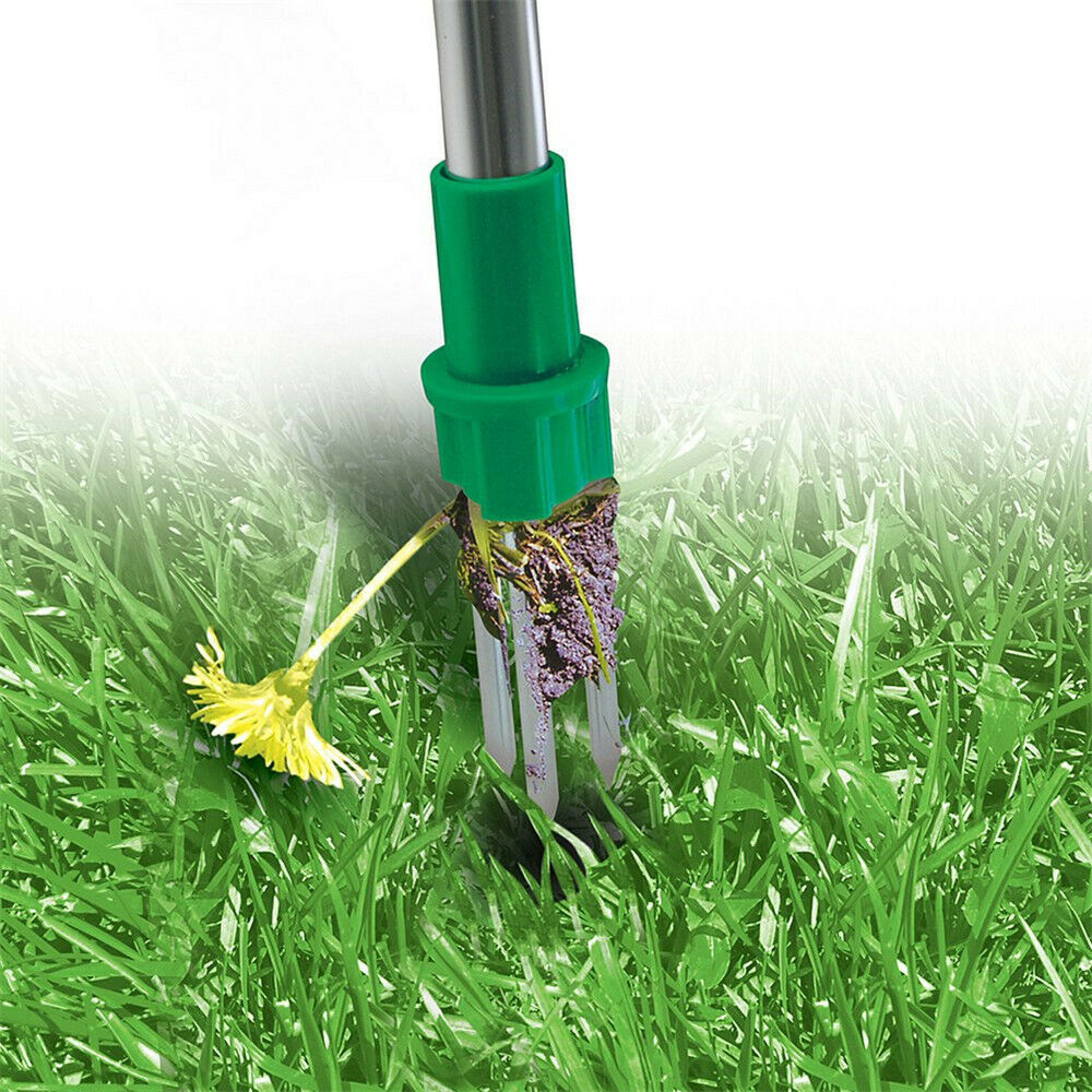 Standing Plant Root Remover Tool 5