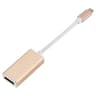 USB-C to DisplayPort Adapter Converter for 4K Displays, Thunderbolt 3 Compatible, 12cm