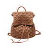 Chic Woven Straw Backpack for Women Casual Beach Holiday Rucksack
