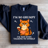 Im So Grumpy Sweatshirt 4