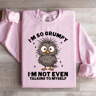Im So Grumpy Sweatshirt 0