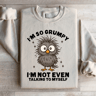 Im So Grumpy Sweatshirt 1