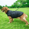 dogjacketharnessblack (1).png