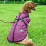 dogjacketharnesspurple (1).png
