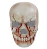 Halloween Skull Mask Full Head Latex Horror Helmet With Movable Jaw 4