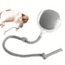 Interactive Rolling Cat Ball Toy Rechargeable Automatic Cat Ball Toy For Indoor Pets 5