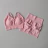 Women's Butt Lifting Workout Shorts Set Breathable Quick Dry Yoga Gym Outfit