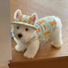 Summer Dog Cooling Clothes Set with Breathable Vest & Sun Hat for Small and Medium Dogs
