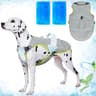 Cooling Dog Vest with Ice Pack Breathable Dog Cooling Vest for Small, Medium & Large Dogs