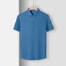 Wrinkle Resistant Mens Business Casual Short Sleeve Shirt 10