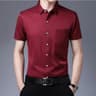 Men's Business Casual Shirt Wrinkle Resistant Short Sleeve Dress Shirt