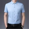 Men's Business Casual Shirt Wrinkle Resistant Short Sleeve Dress Shirt