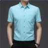 Men's Business Casual Shirt Wrinkle Resistant Short Sleeve Dress Shirt