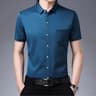 Men's Business Casual Shirt Wrinkle Resistant Short Sleeve Dress Shirt