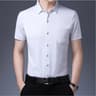 Men's Business Casual Shirt Wrinkle Resistant Short Sleeve Dress Shirt
