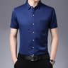 Men's Business Casual Shirt Wrinkle Resistant Short Sleeve Dress Shirt