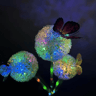 Waterproof Outdoor Solar Light, Solar Butterfly Dandelion Light for Courtyard, Lawn, Garden Decoration